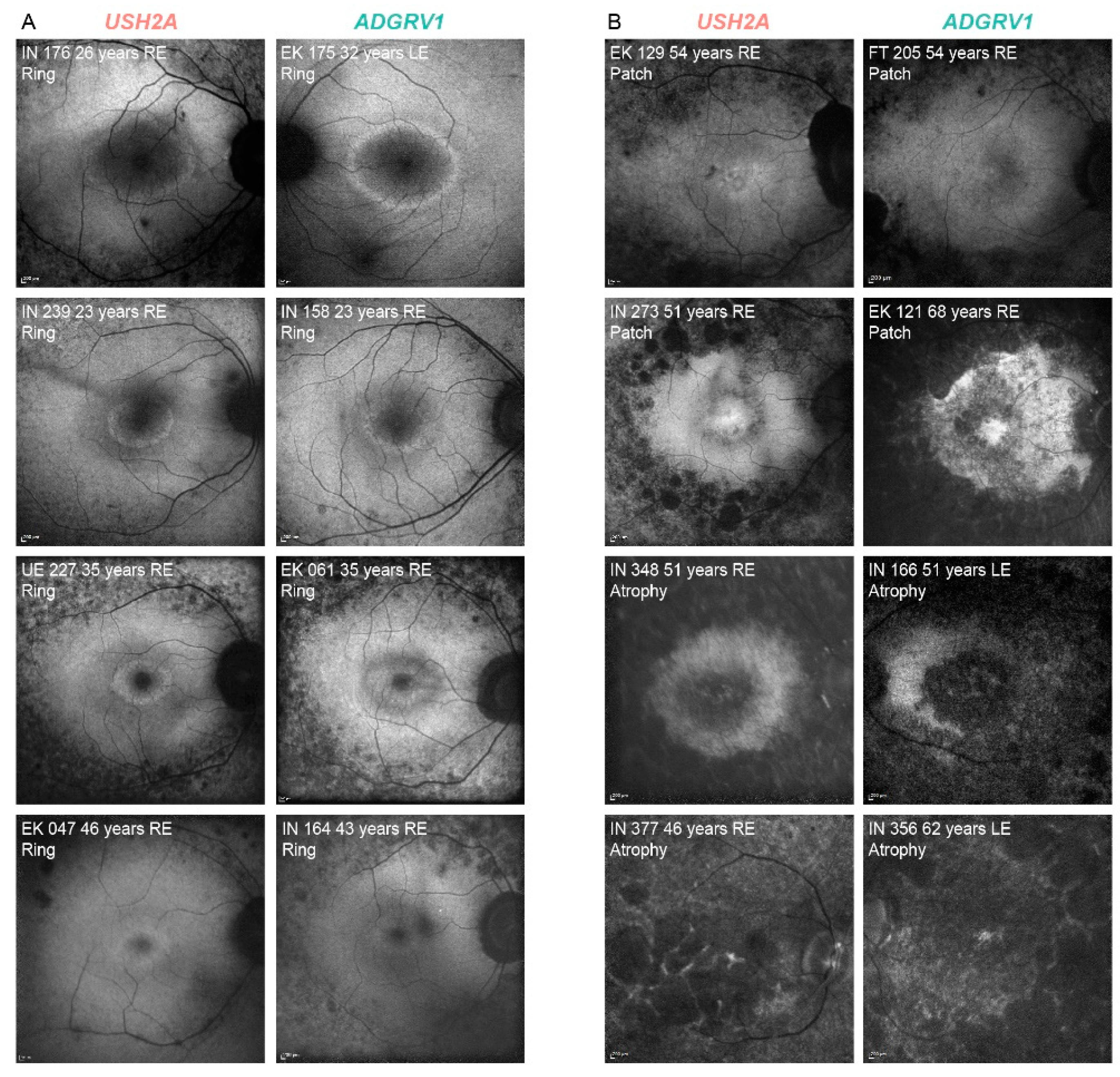 Ijms 22 10352 g003 550