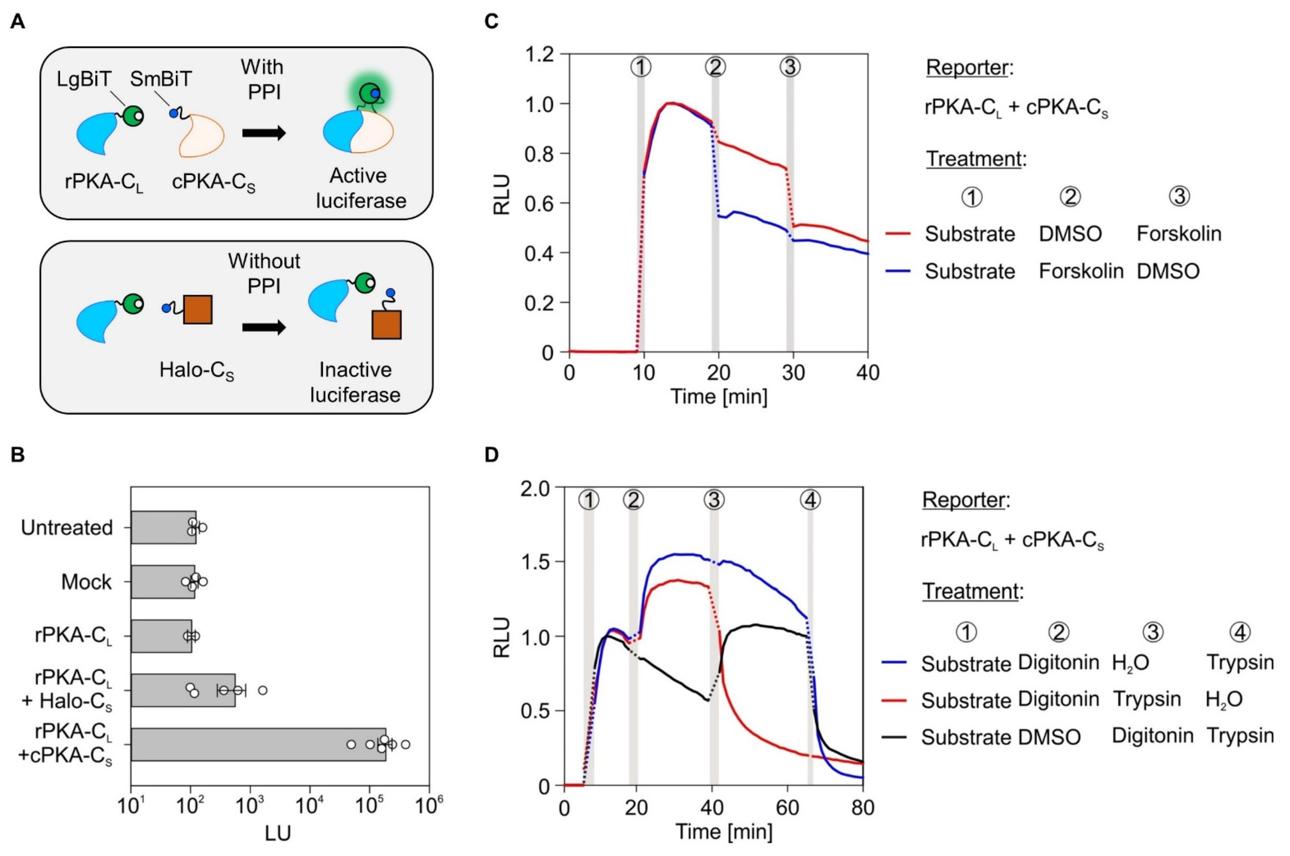 Ijms 22 10358 g001 Ijms 22 10358 g001