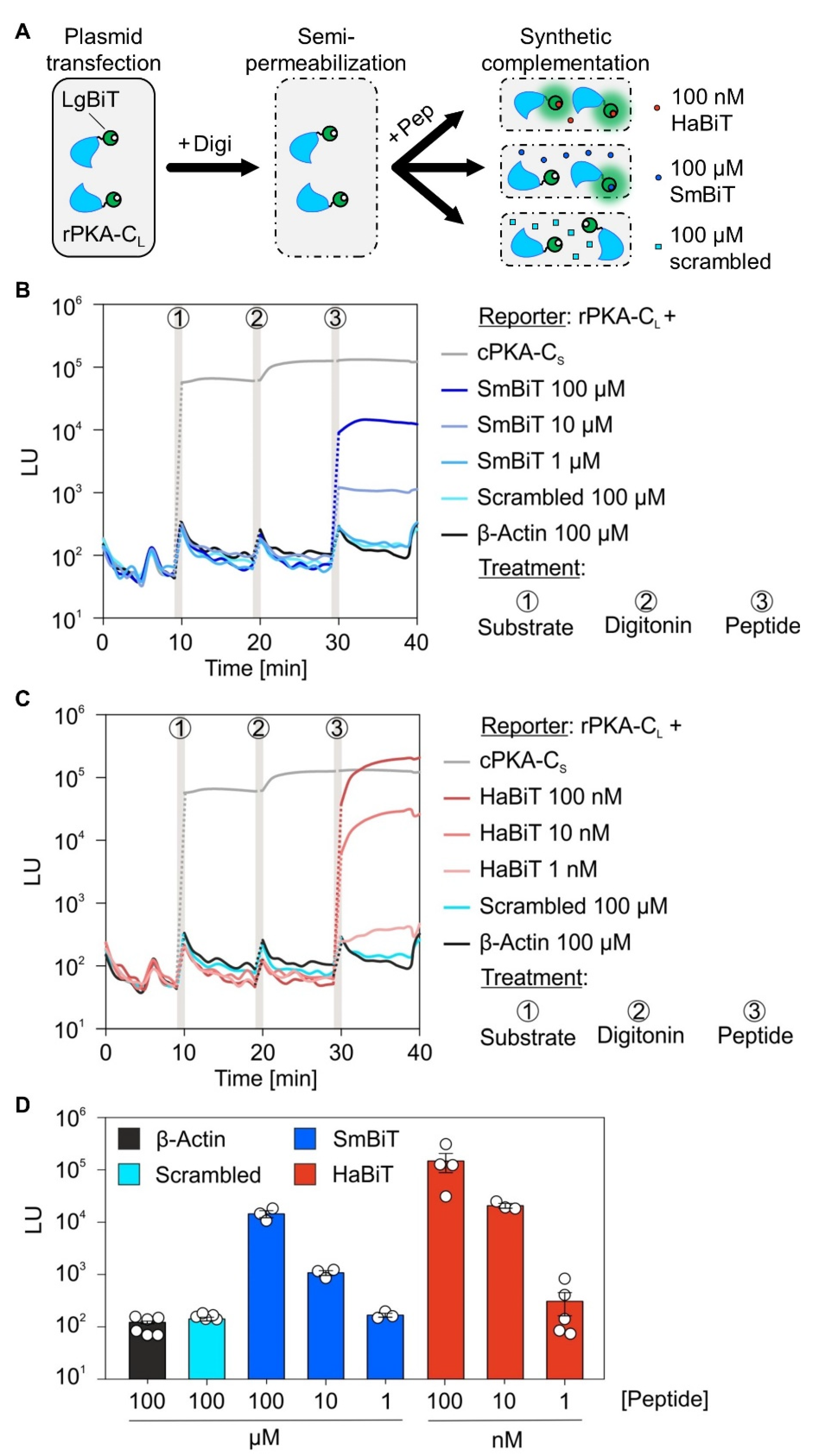 Ijms 22 10358 g002 Ijms 22 10358 g002