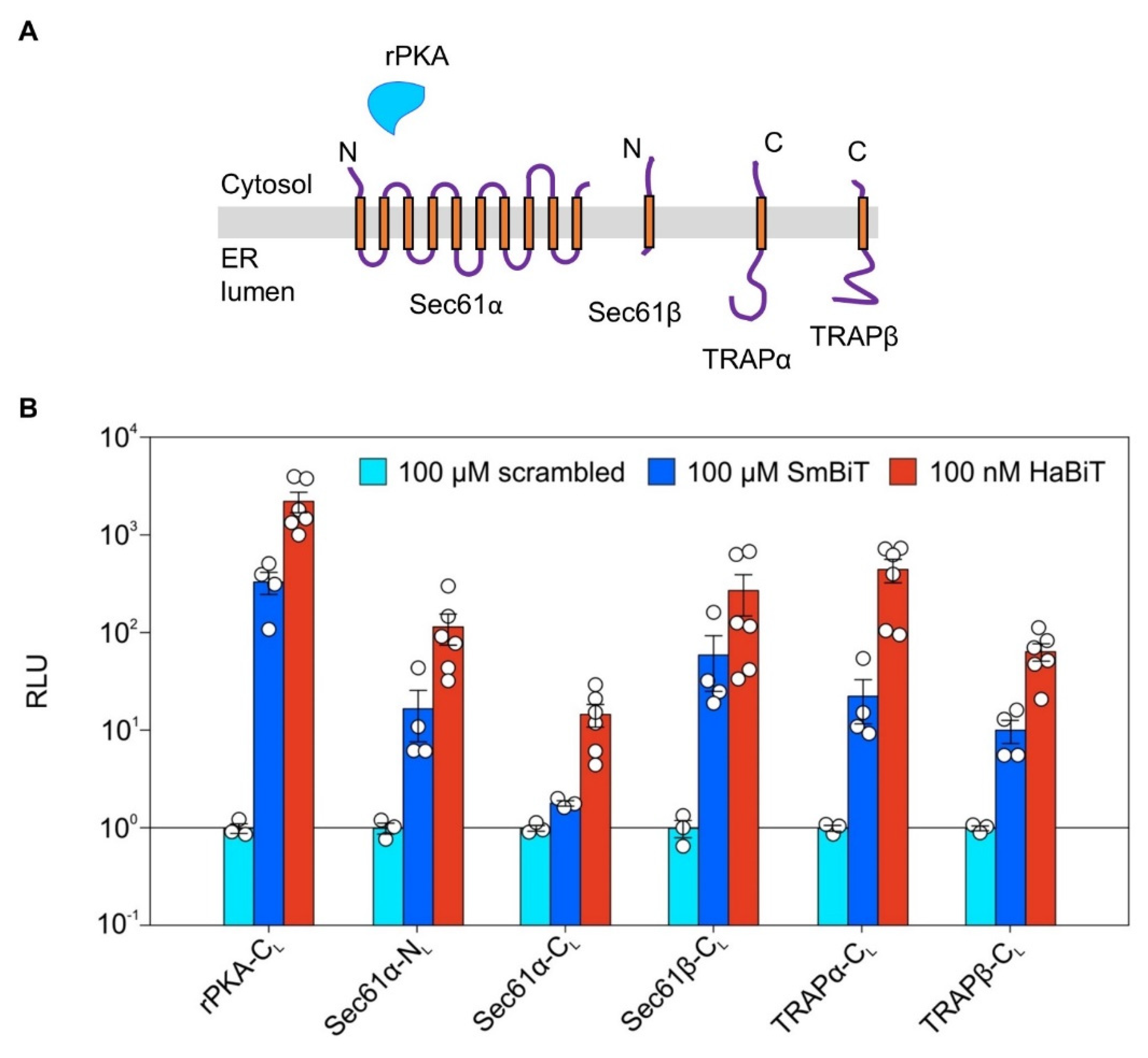 Ijms 22 10358 g003 Ijms 22 10358 g003