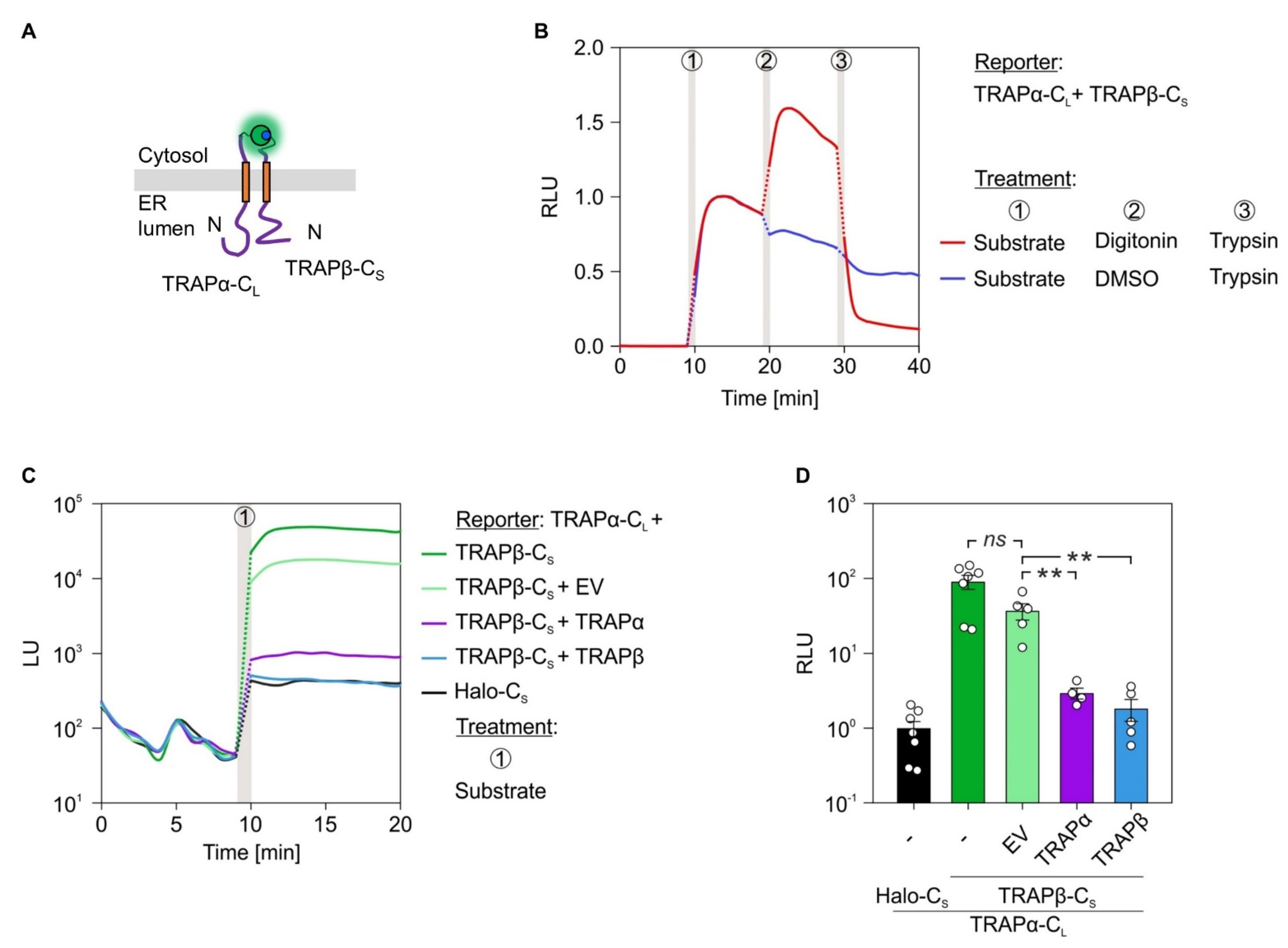 Ijms 22 10358 g006 Ijms 22 10358 g006