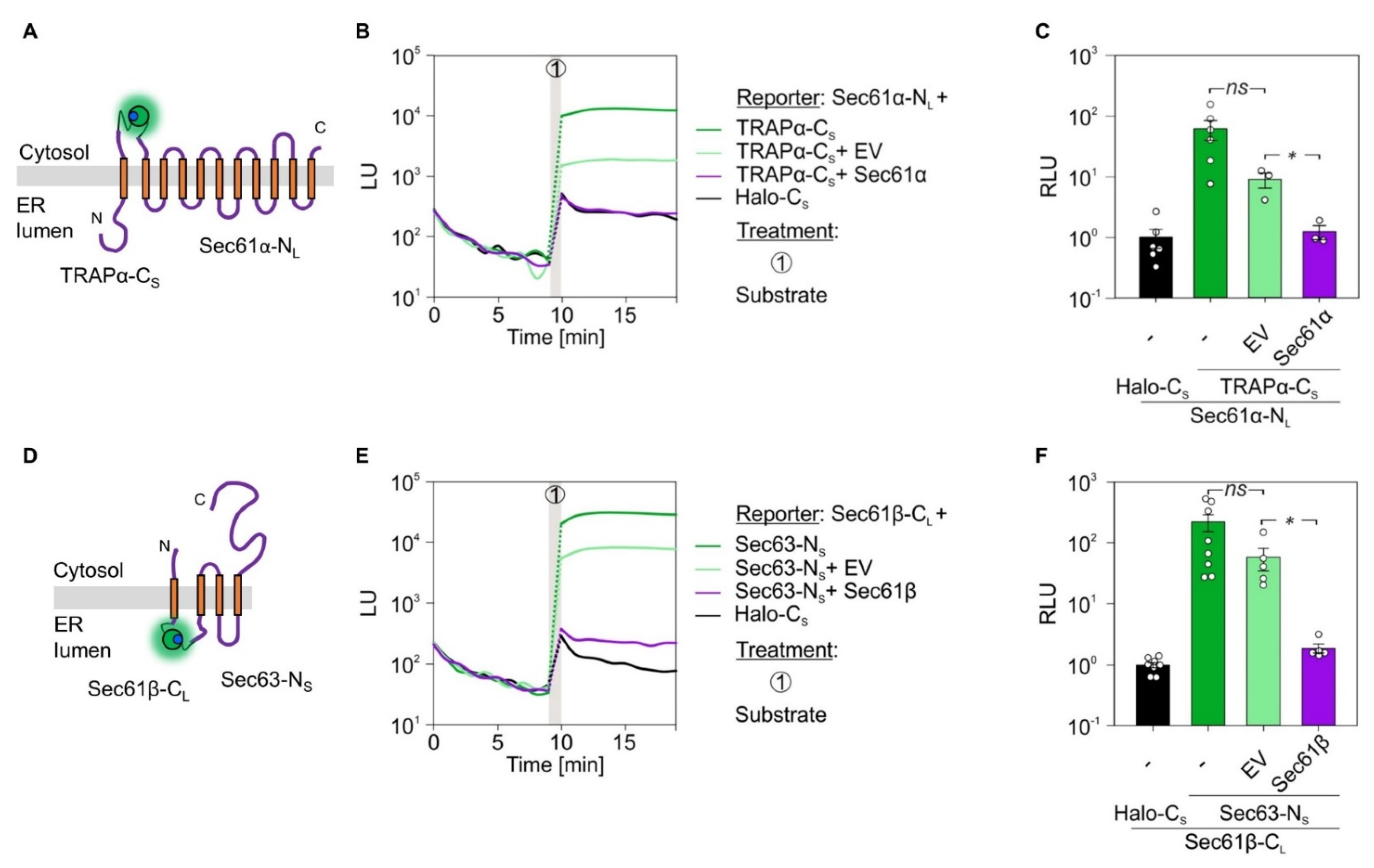 Ijms 22 10358 g007 Ijms 22 10358 g007