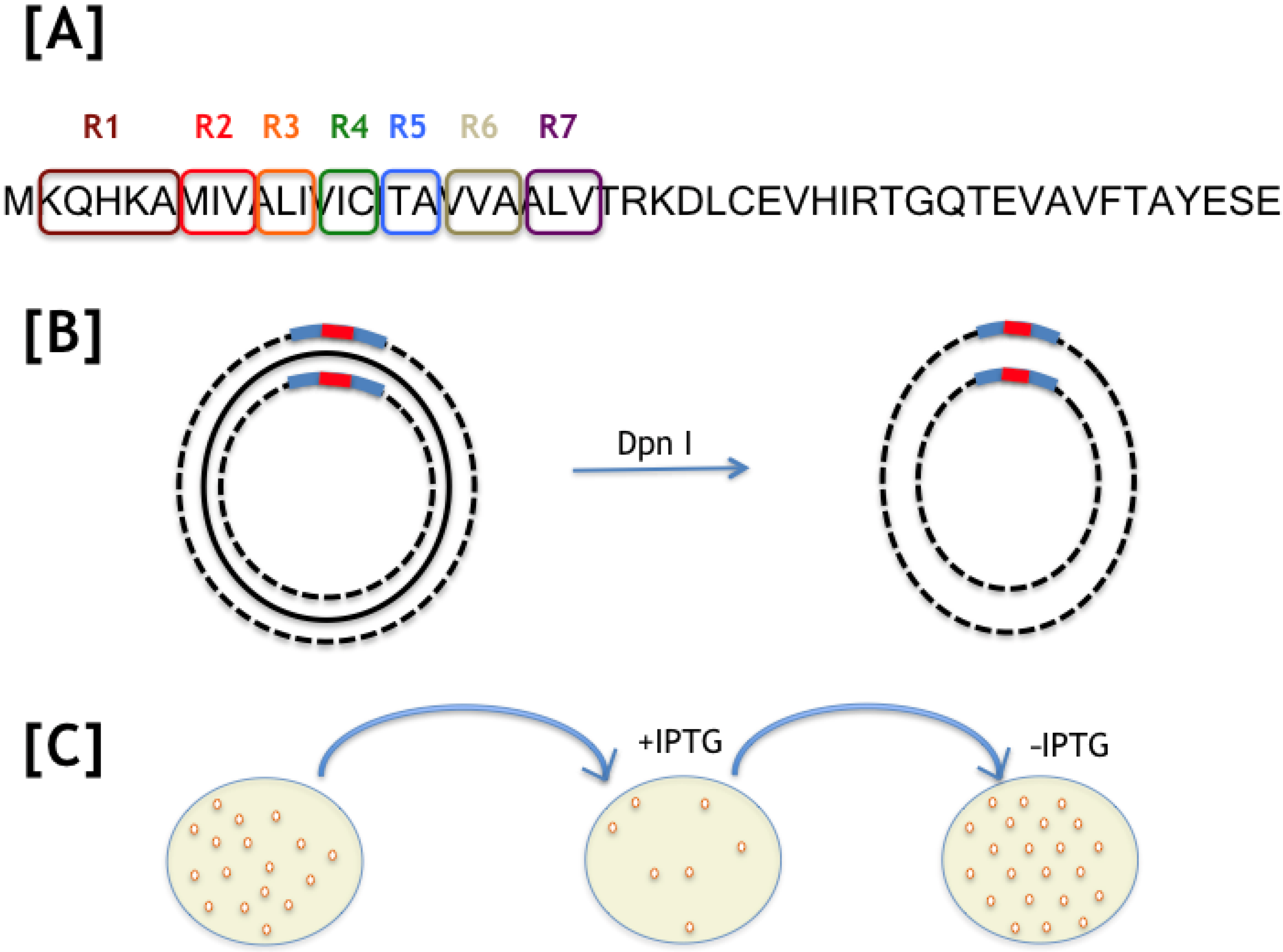 Ijms 22 10359 g001 550