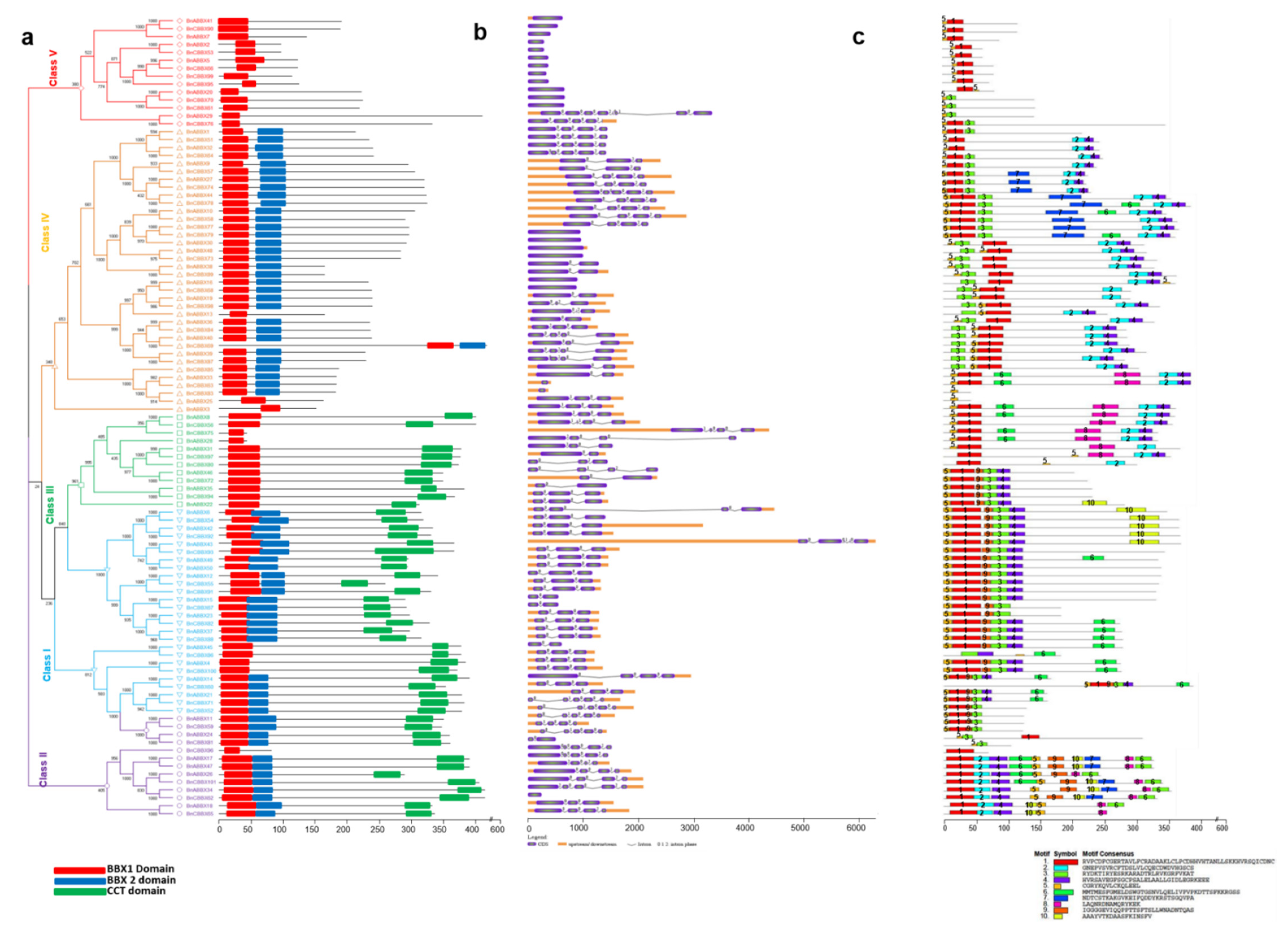 Ijms 22 10367 g006 550