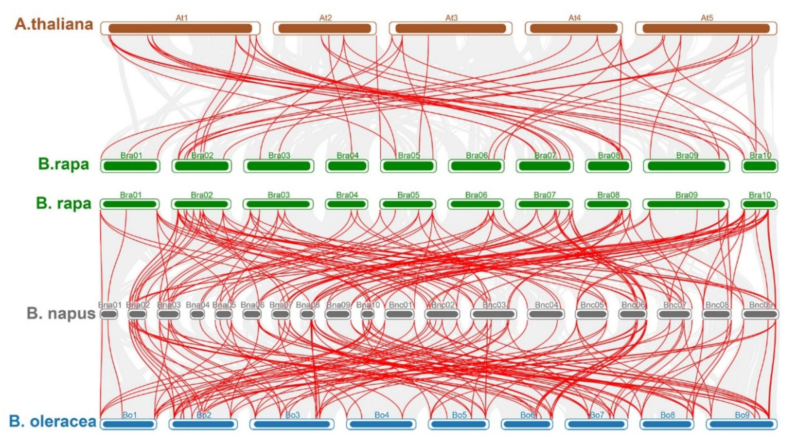 Ijms 22 10367 g008 550