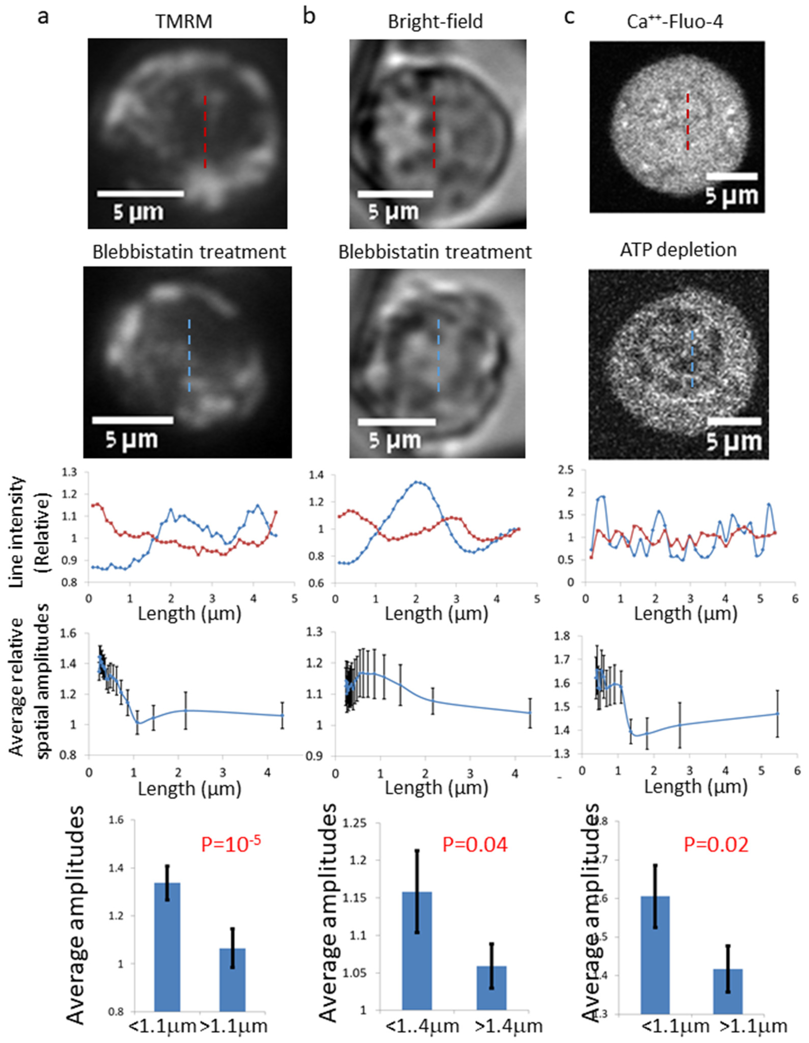 Ijms 22 10369 g002 550
