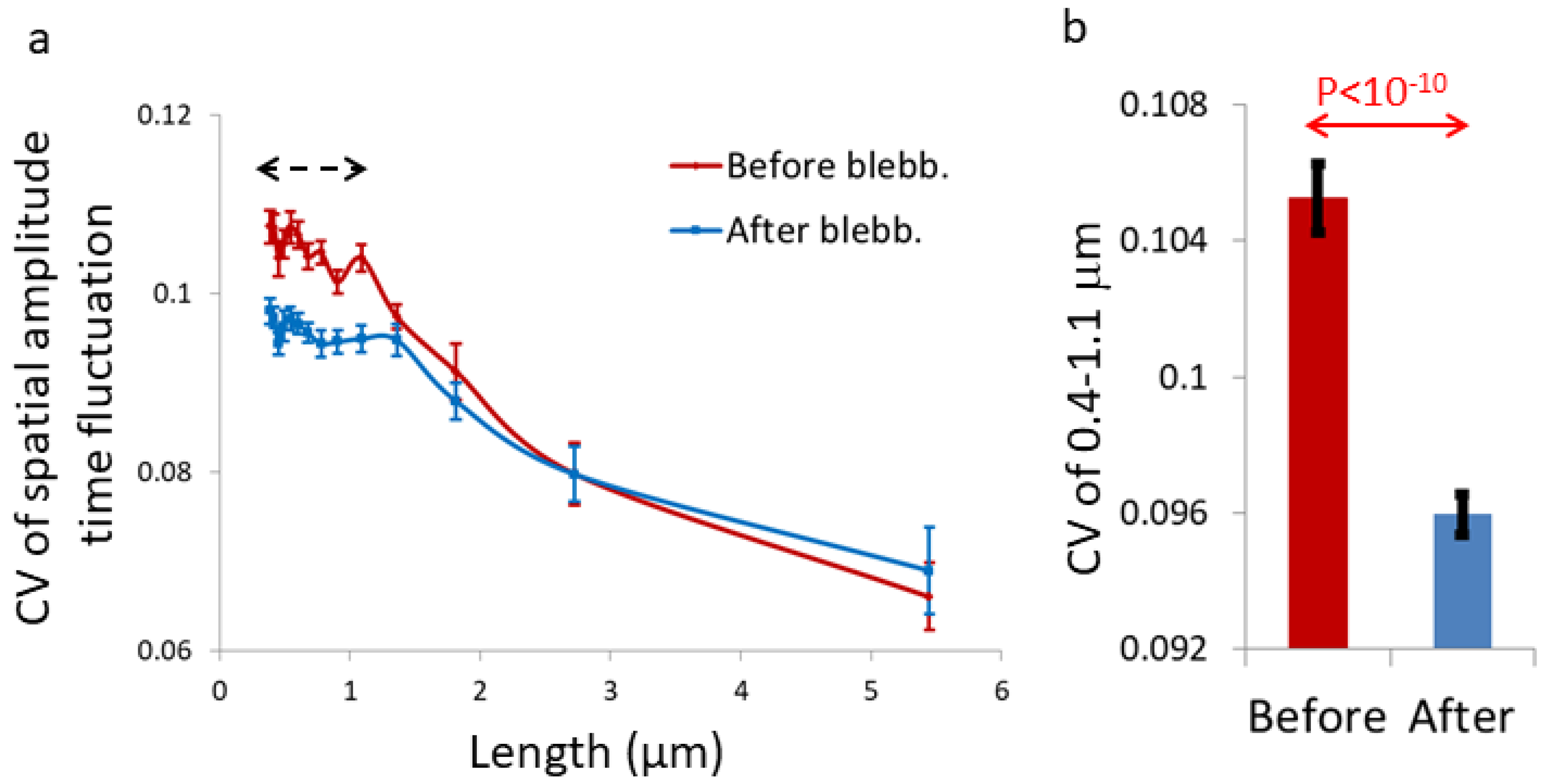 Ijms 22 10369 g006 550