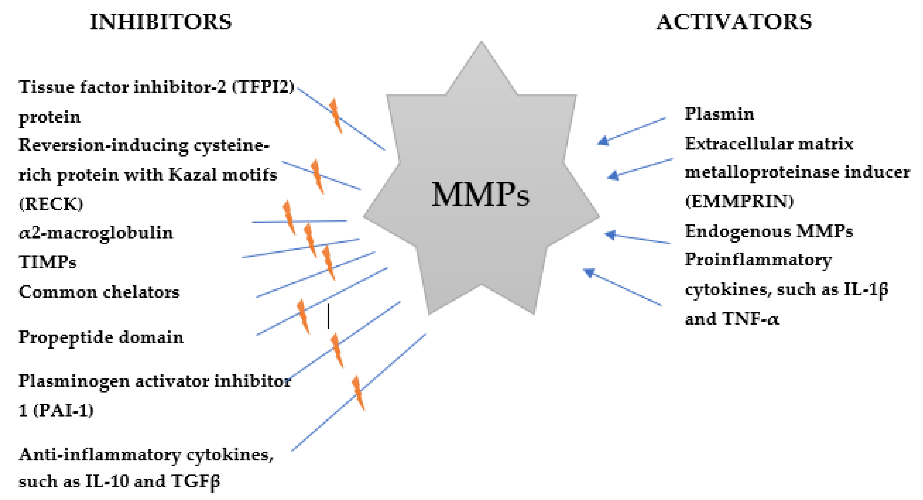 Ijms 22 10378 g002 Ijms 22 10378 g002