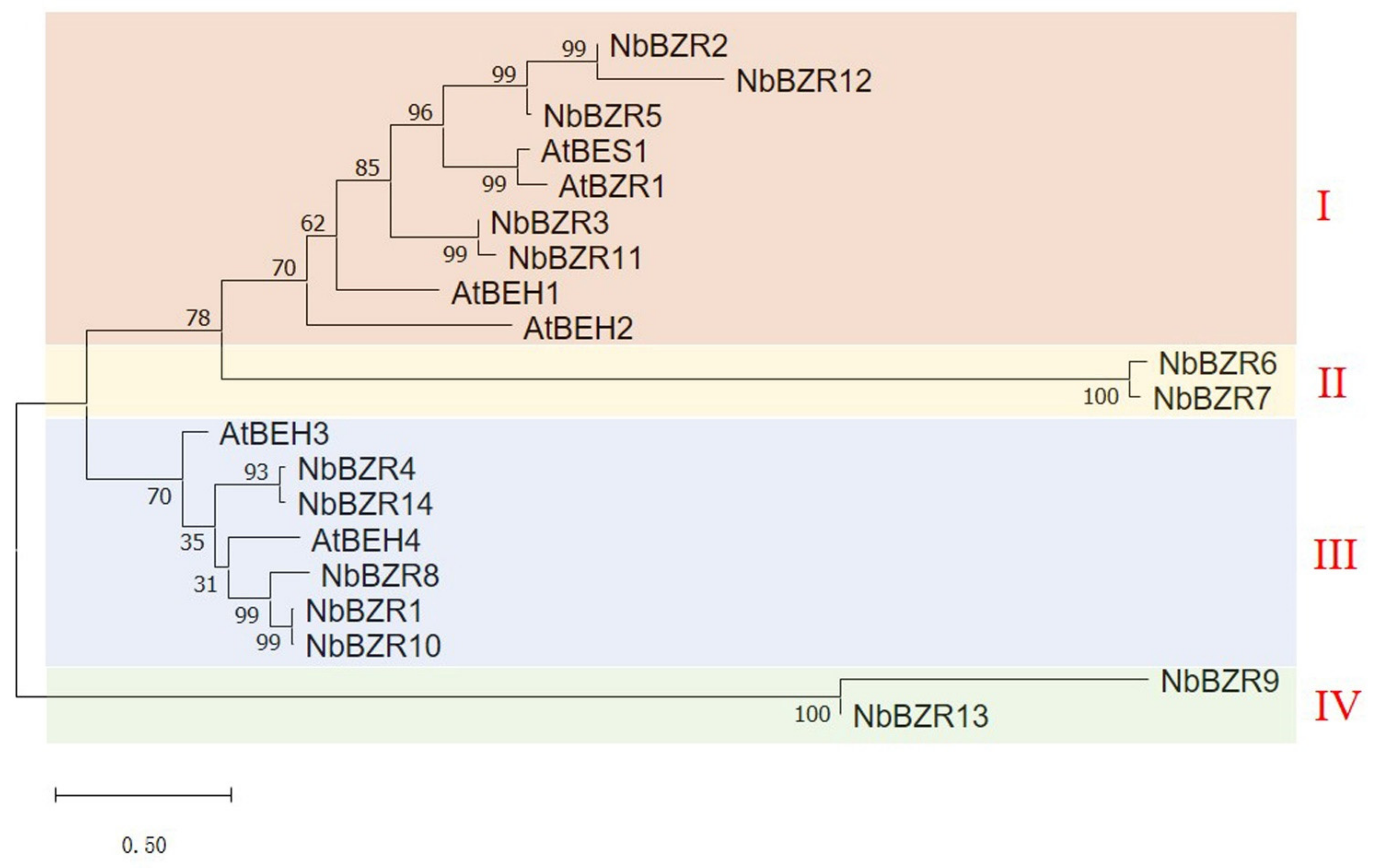 Ijms 22 10379 g001 550