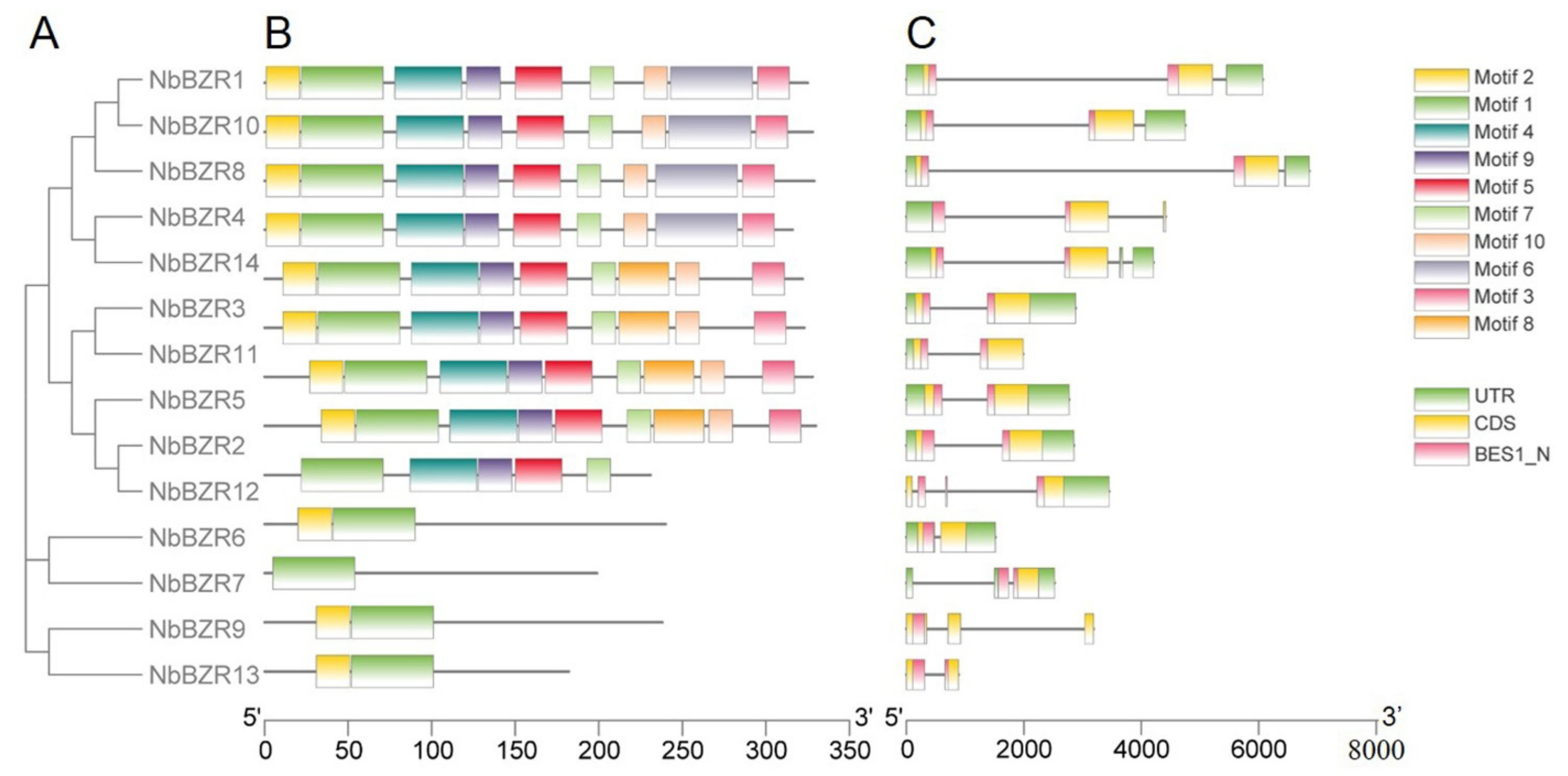 Ijms 22 10379 g002 550
