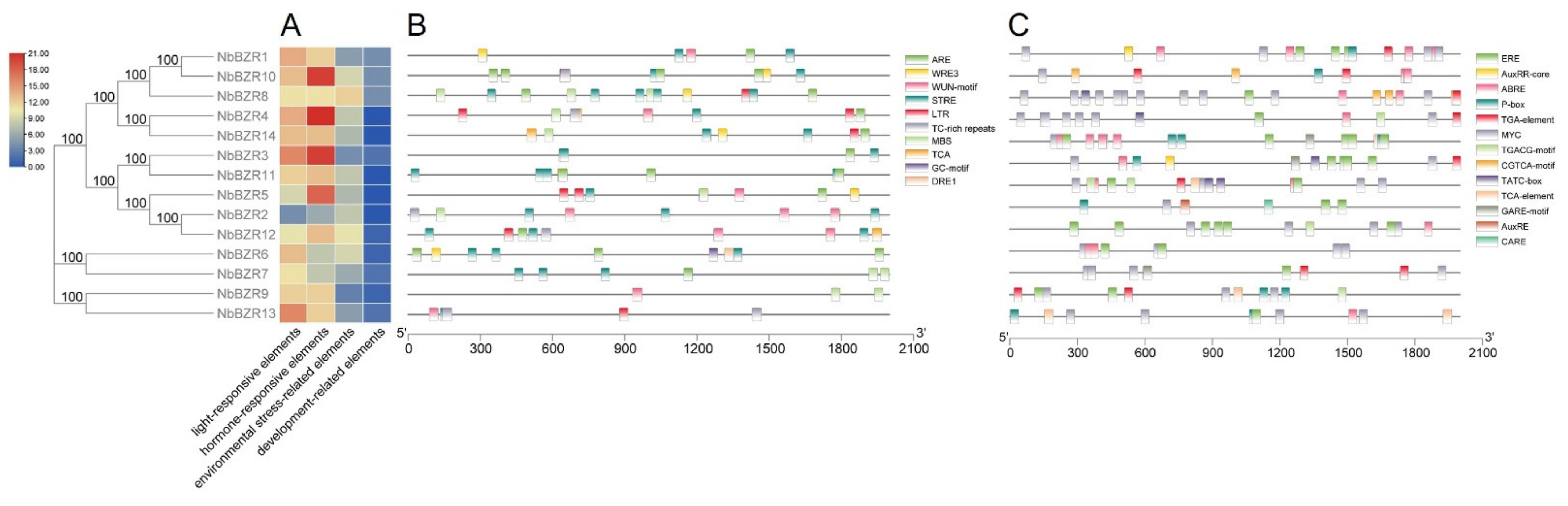 Ijms 22 10379 g003 550