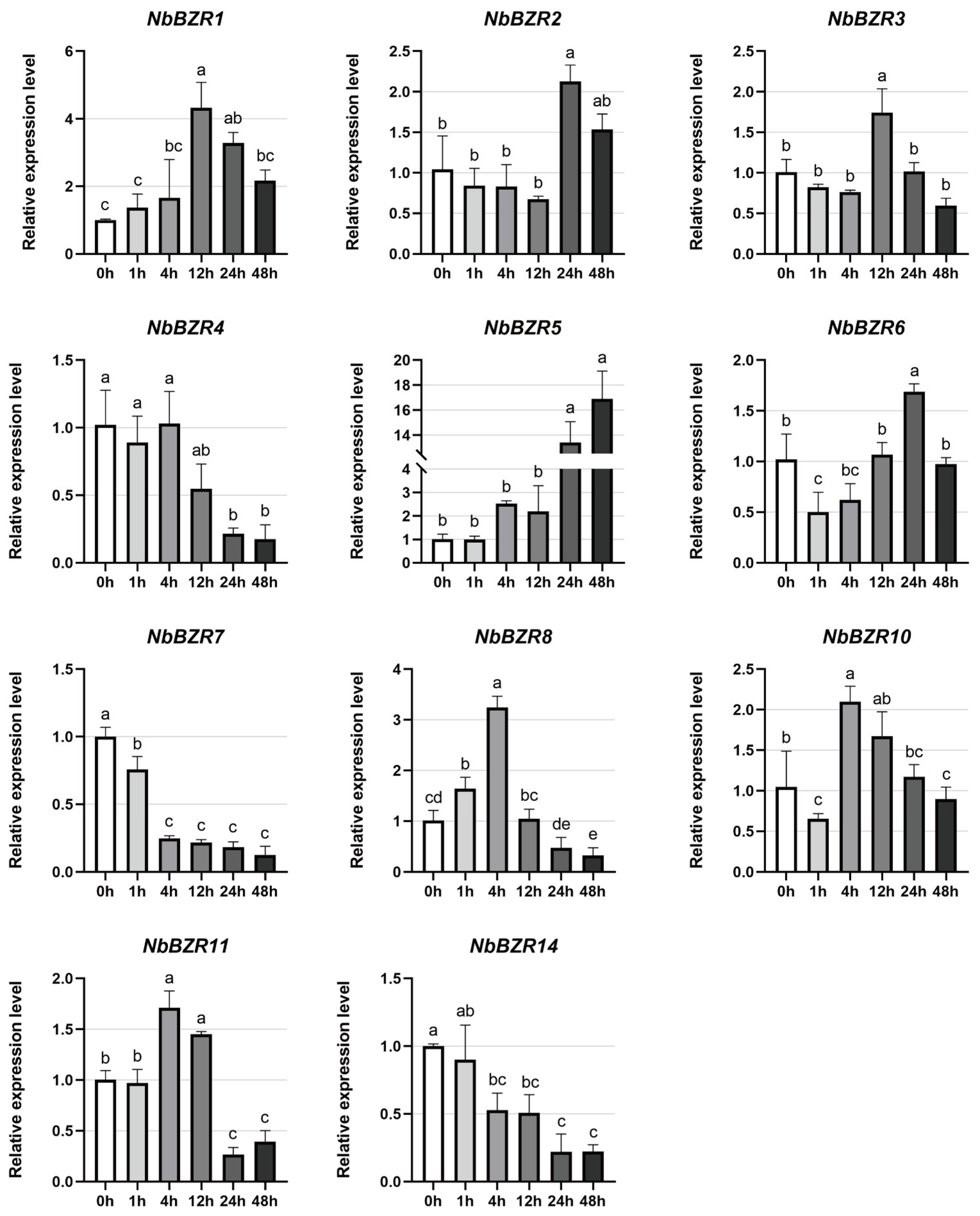 Ijms 22 10379 g006 550