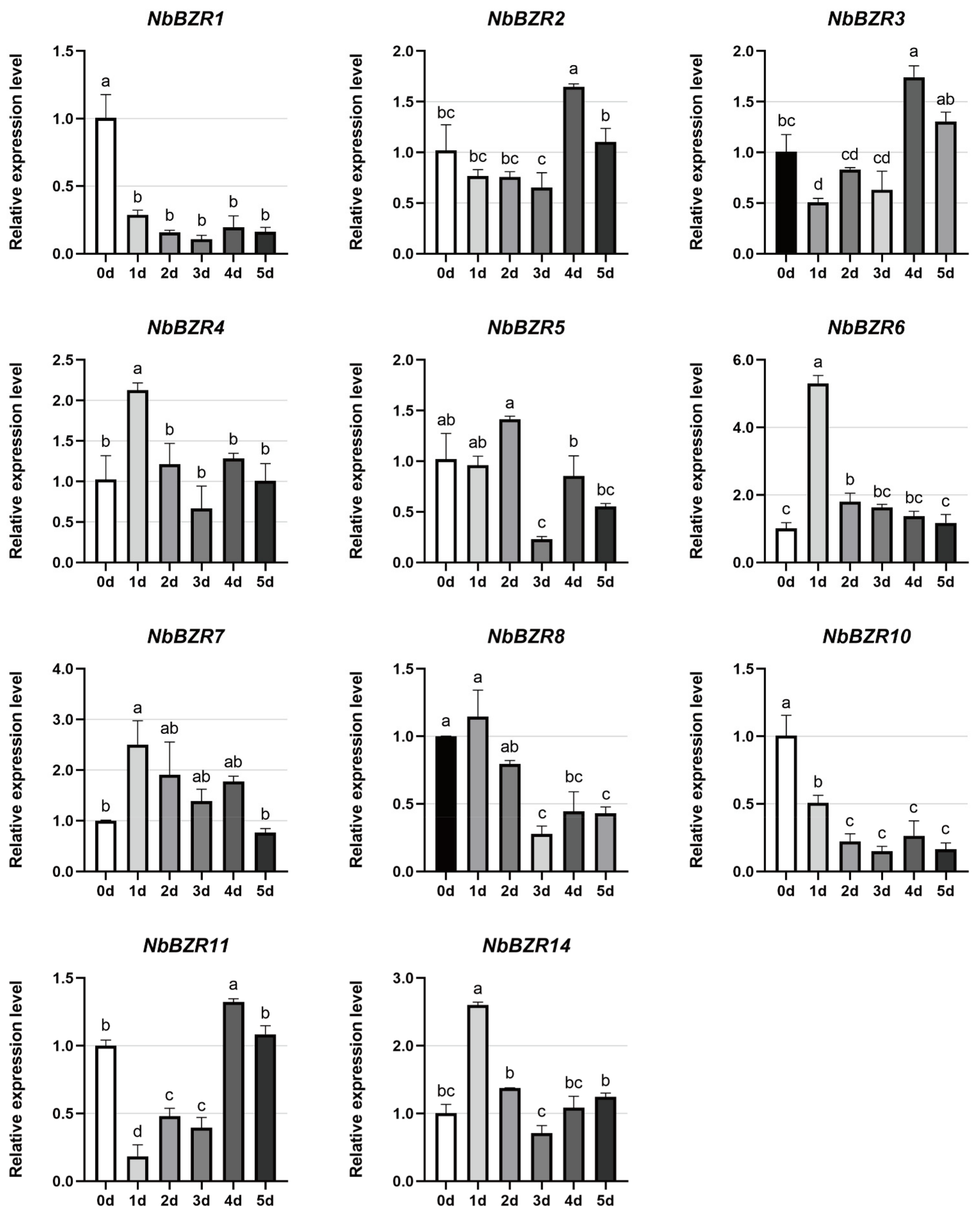 Ijms 22 10379 g007 550