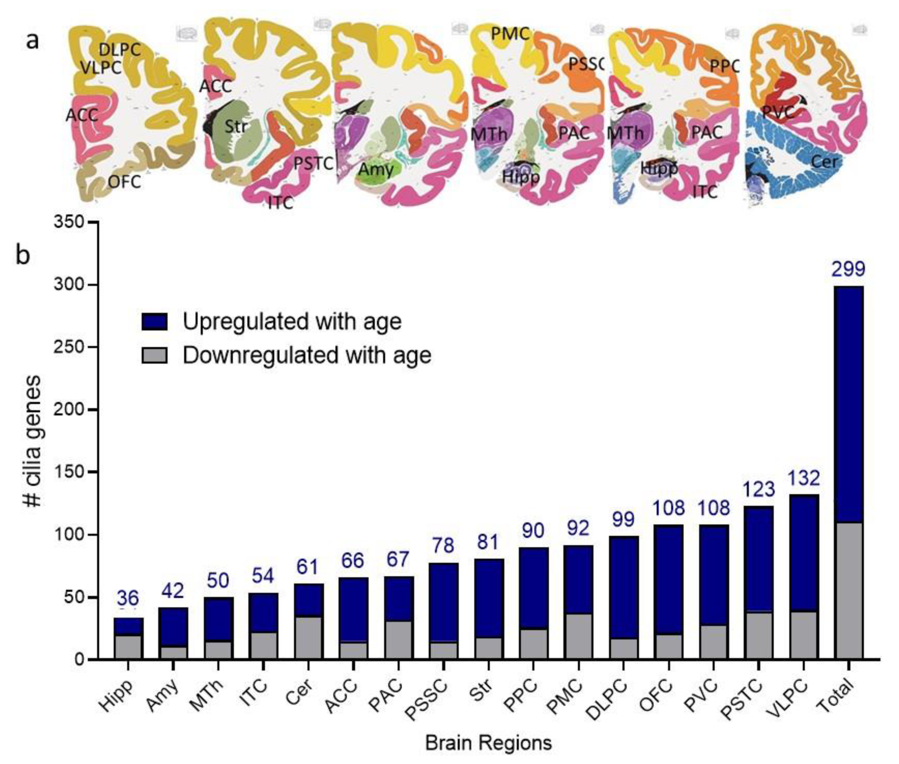 Ijms 22 10387 g001 Ijms 22 10387 g001