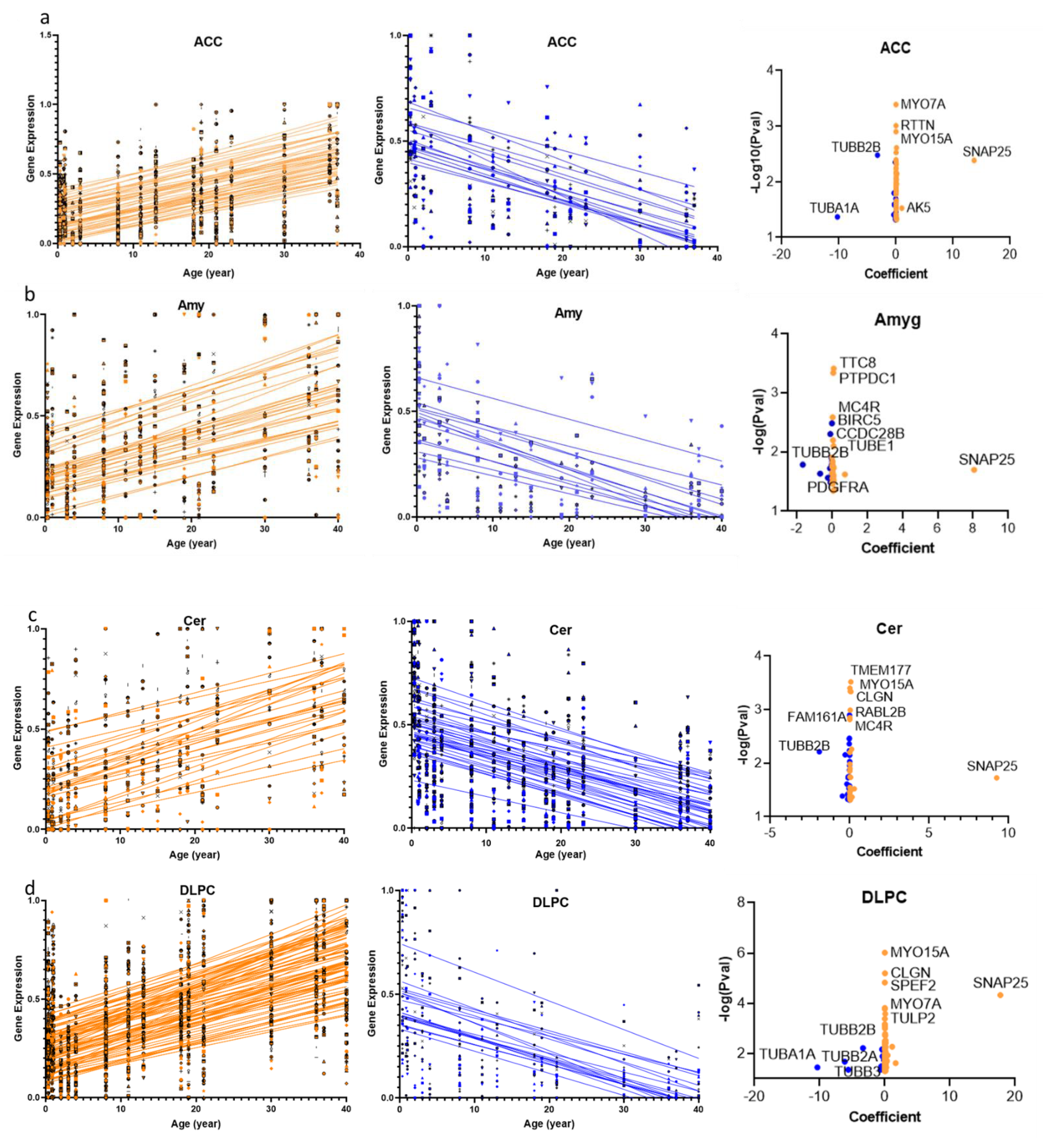 Ijms 22 10387 g002a Ijms 22 10387 g002a