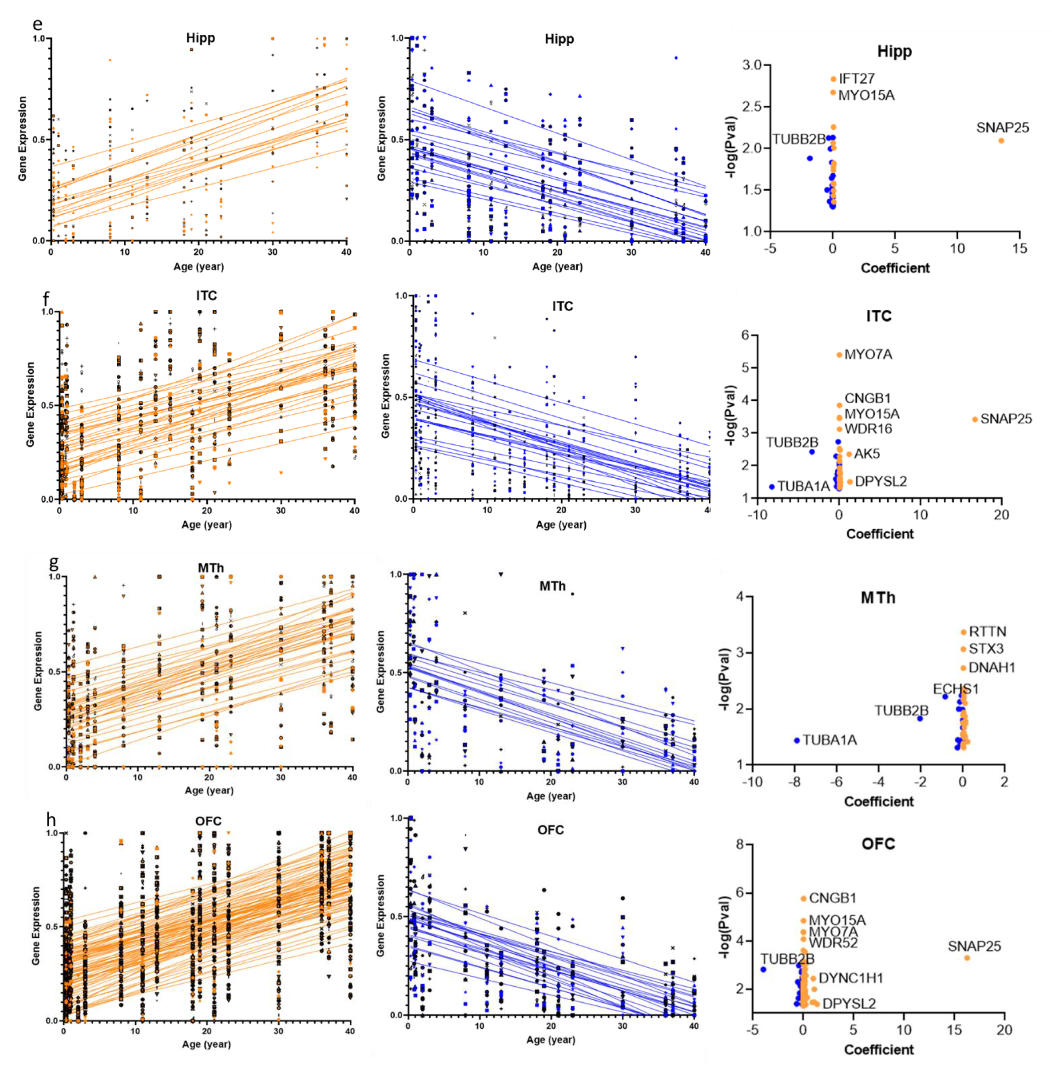 Ijms 22 10387 g002b Ijms 22 10387 g002b