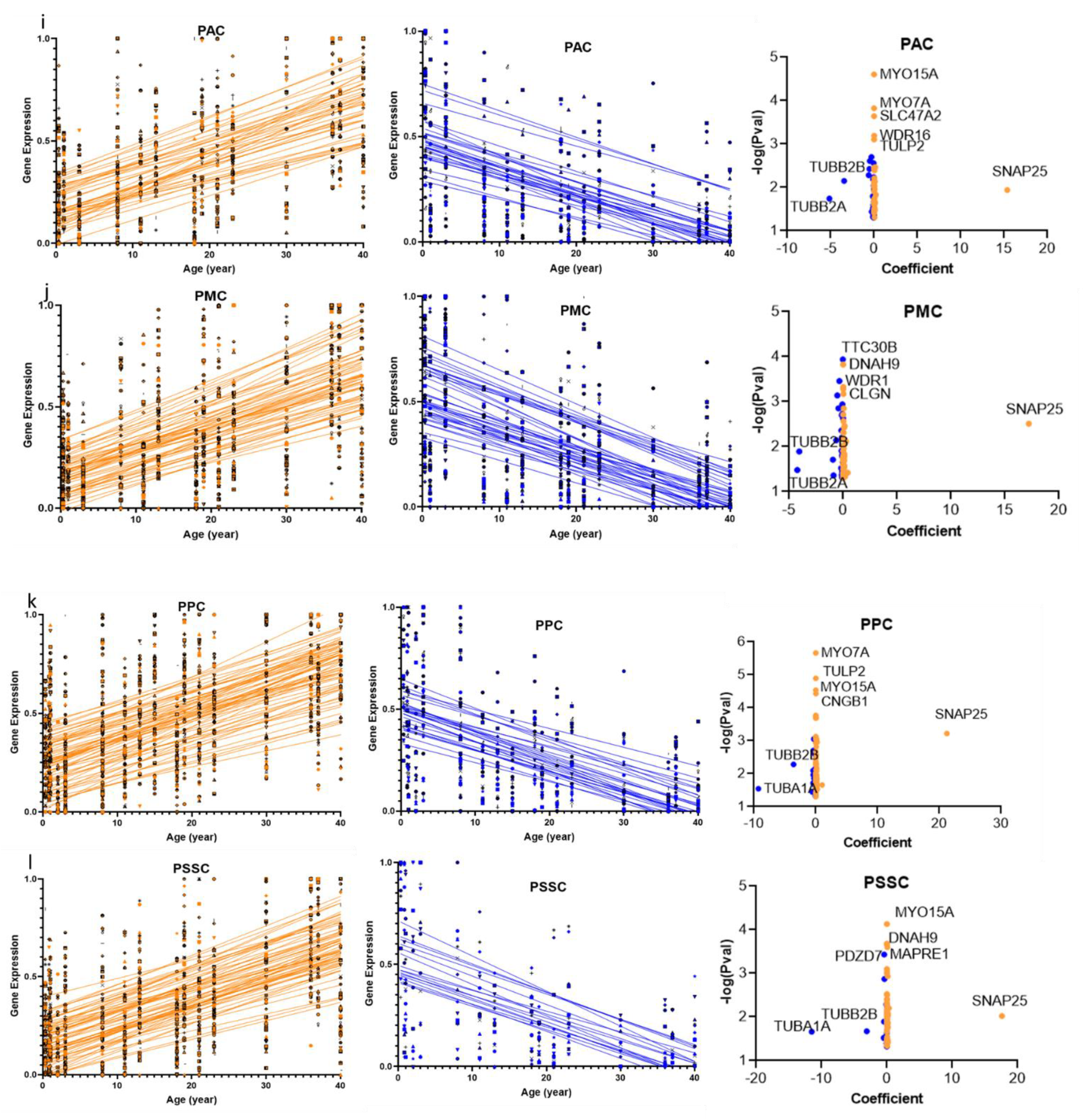 Ijms 22 10387 g002c Ijms 22 10387 g002c