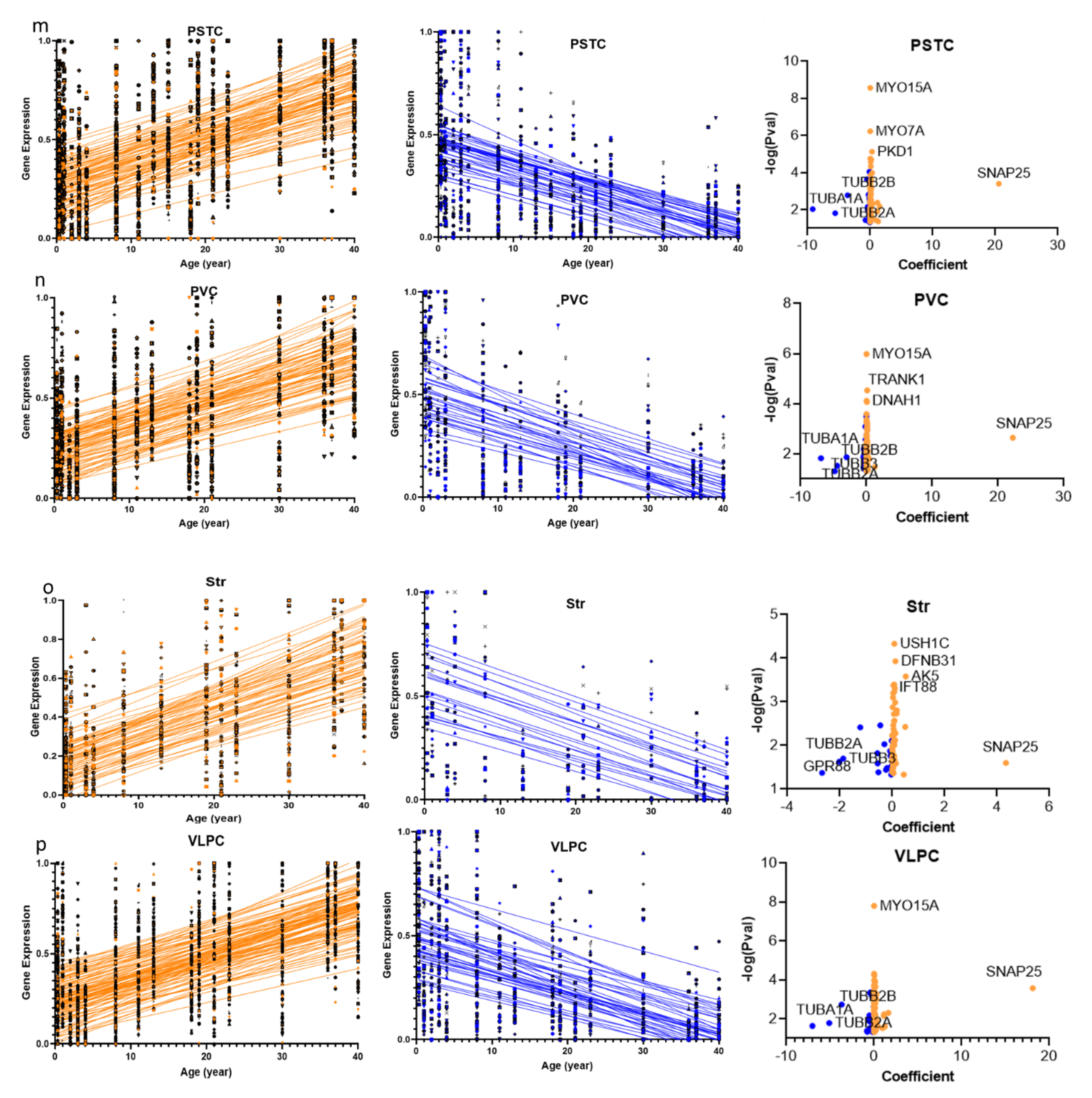 Ijms 22 10387 g002d Ijms 22 10387 g002d
