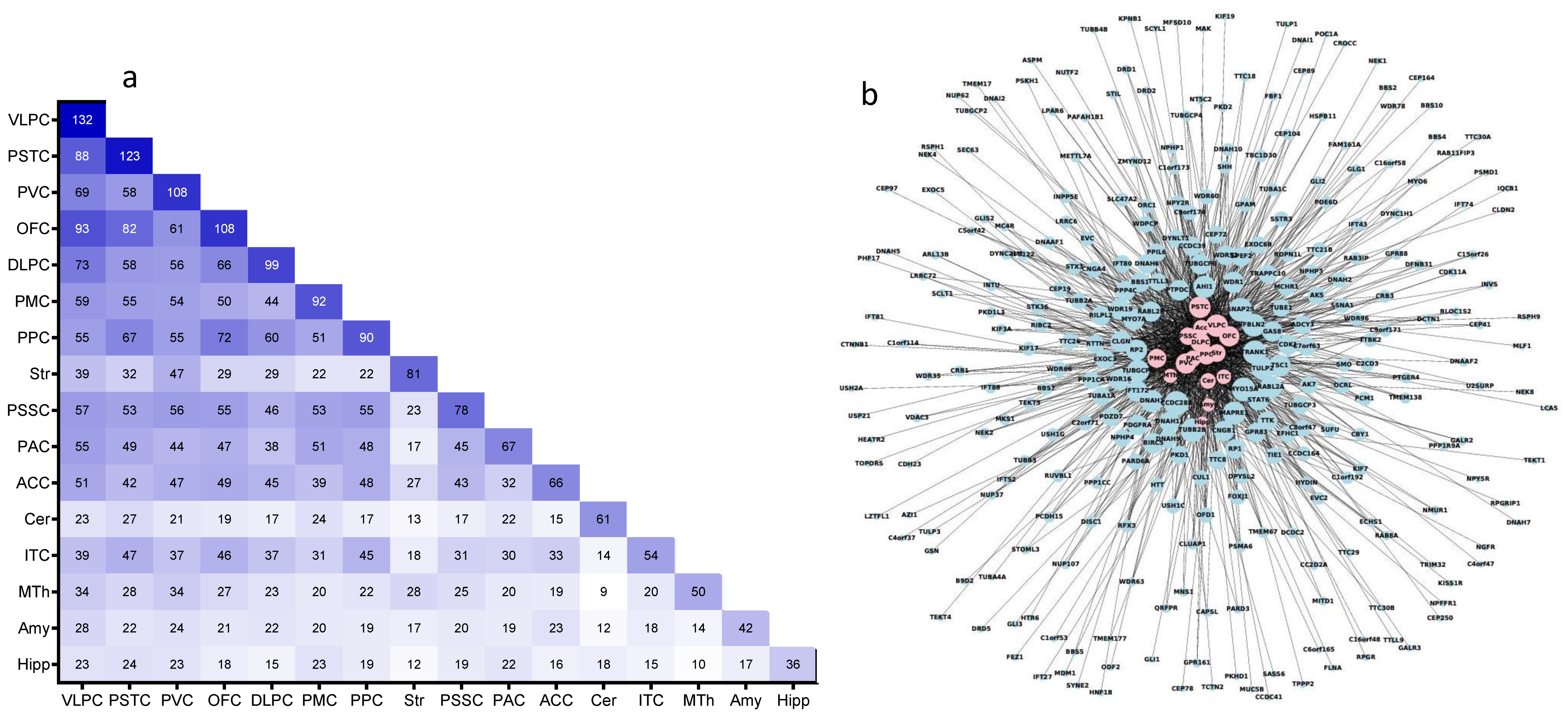 Ijms 22 10387 g003 Ijms 22 10387 g003