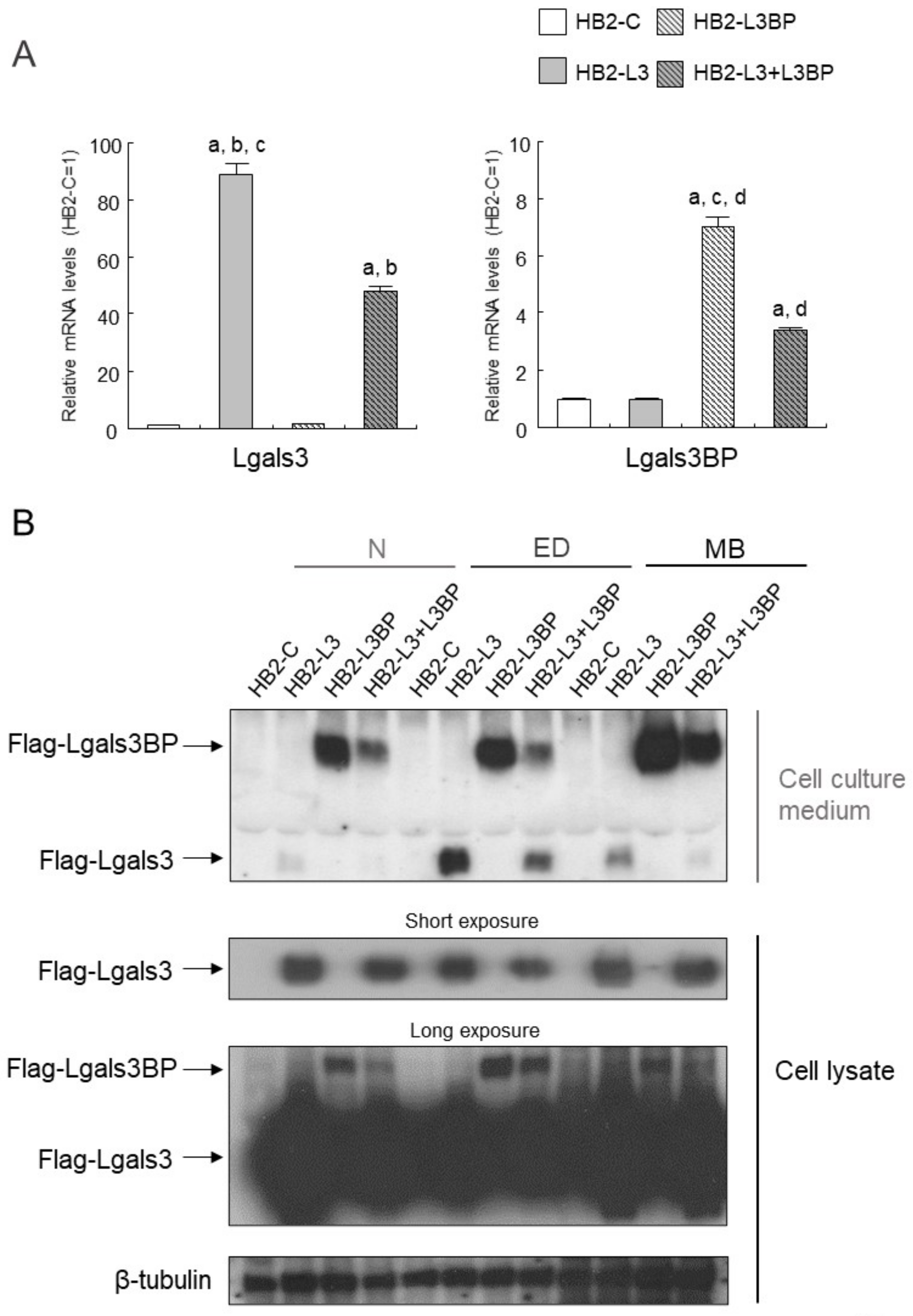 Ijms 22 10391 g001a Ijms 22 10391 g001a
