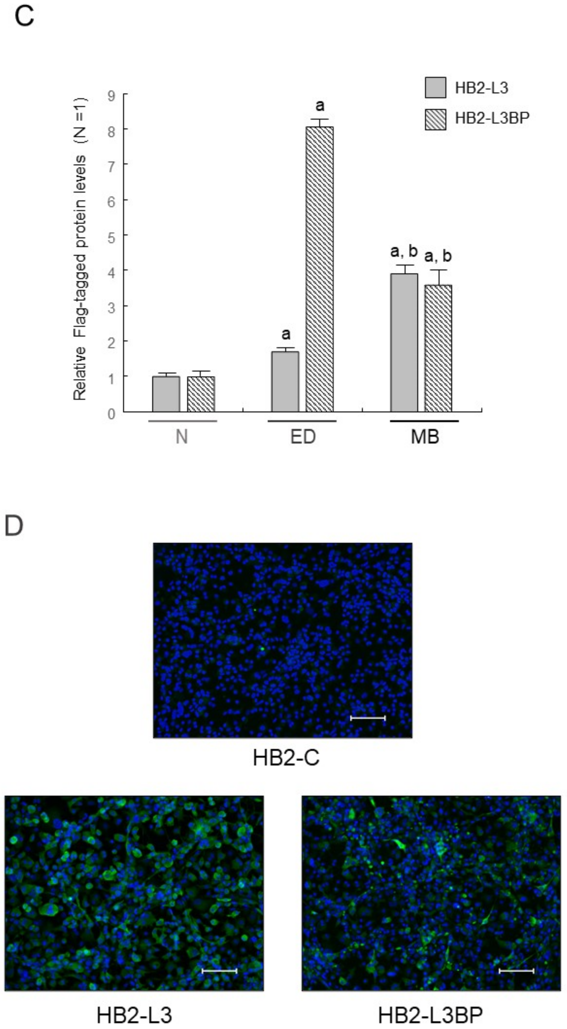 Ijms 22 10391 g001b Ijms 22 10391 g001b