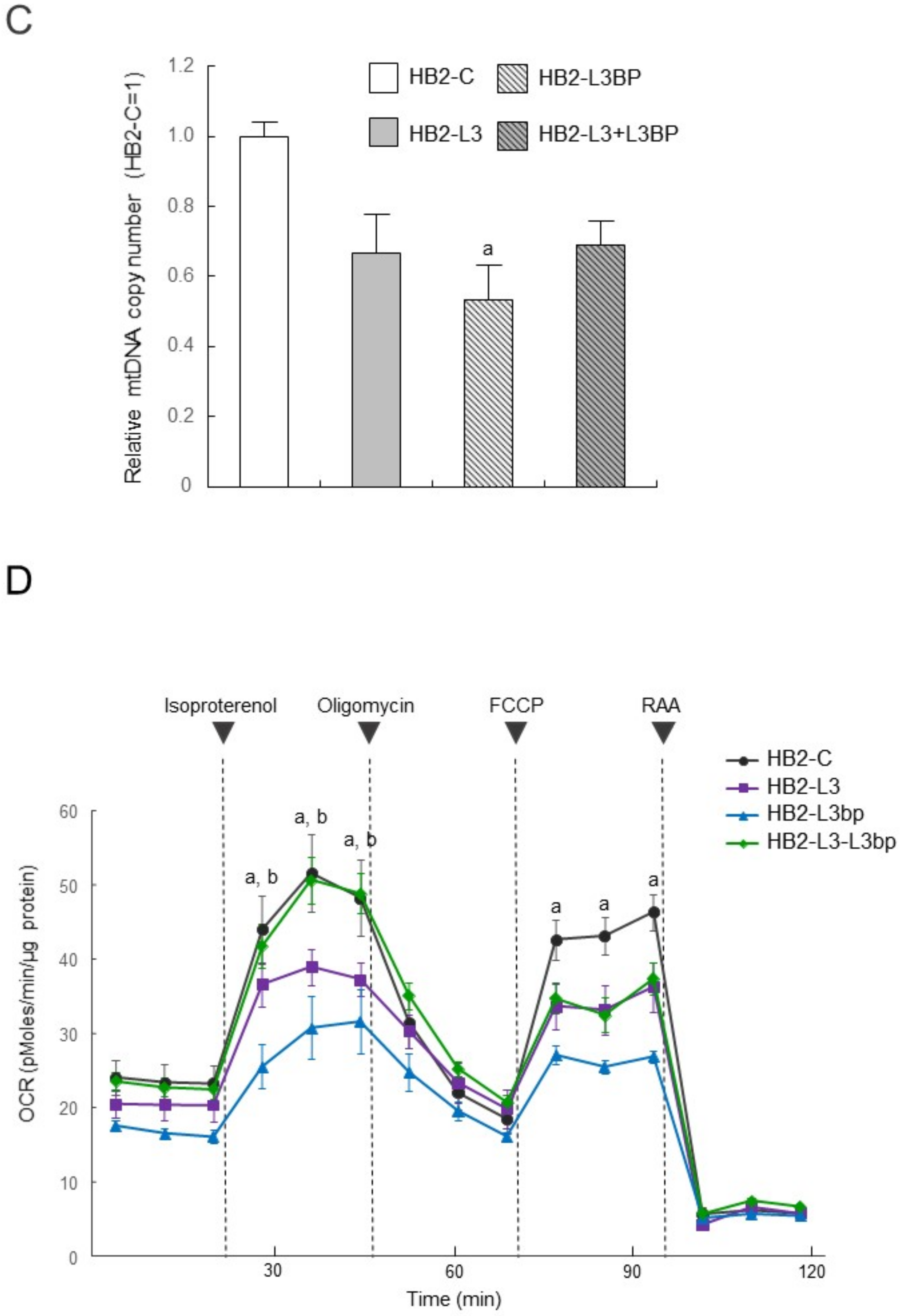 Ijms 22 10391 g003b Ijms 22 10391 g003b