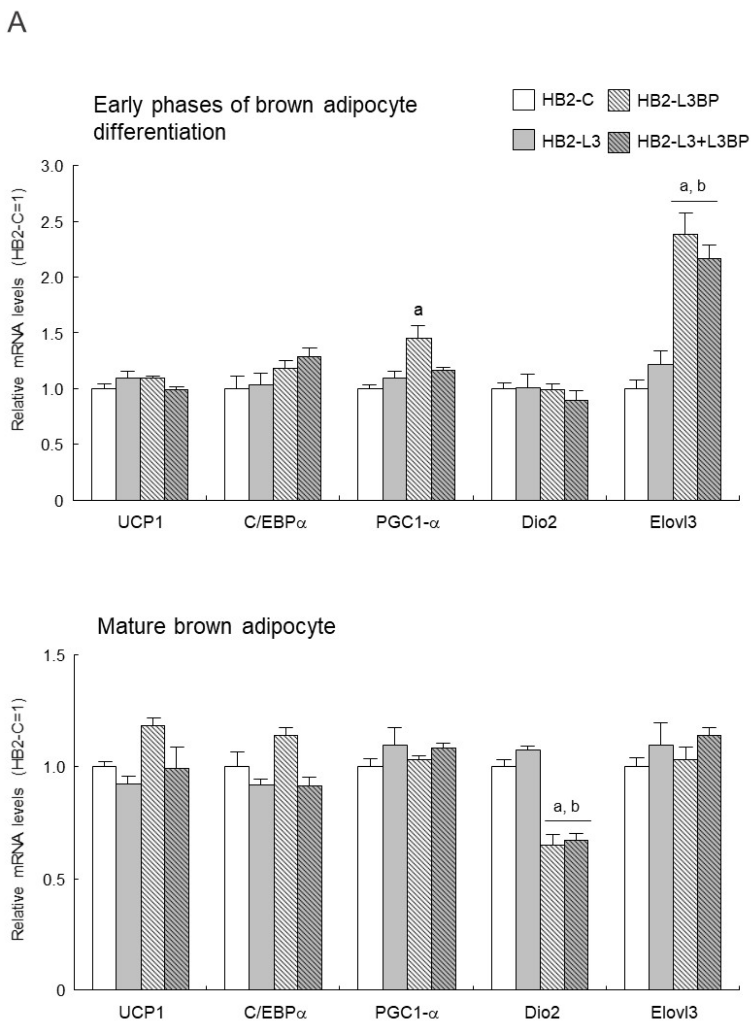 Ijms 22 10391 g004a Ijms 22 10391 g004a