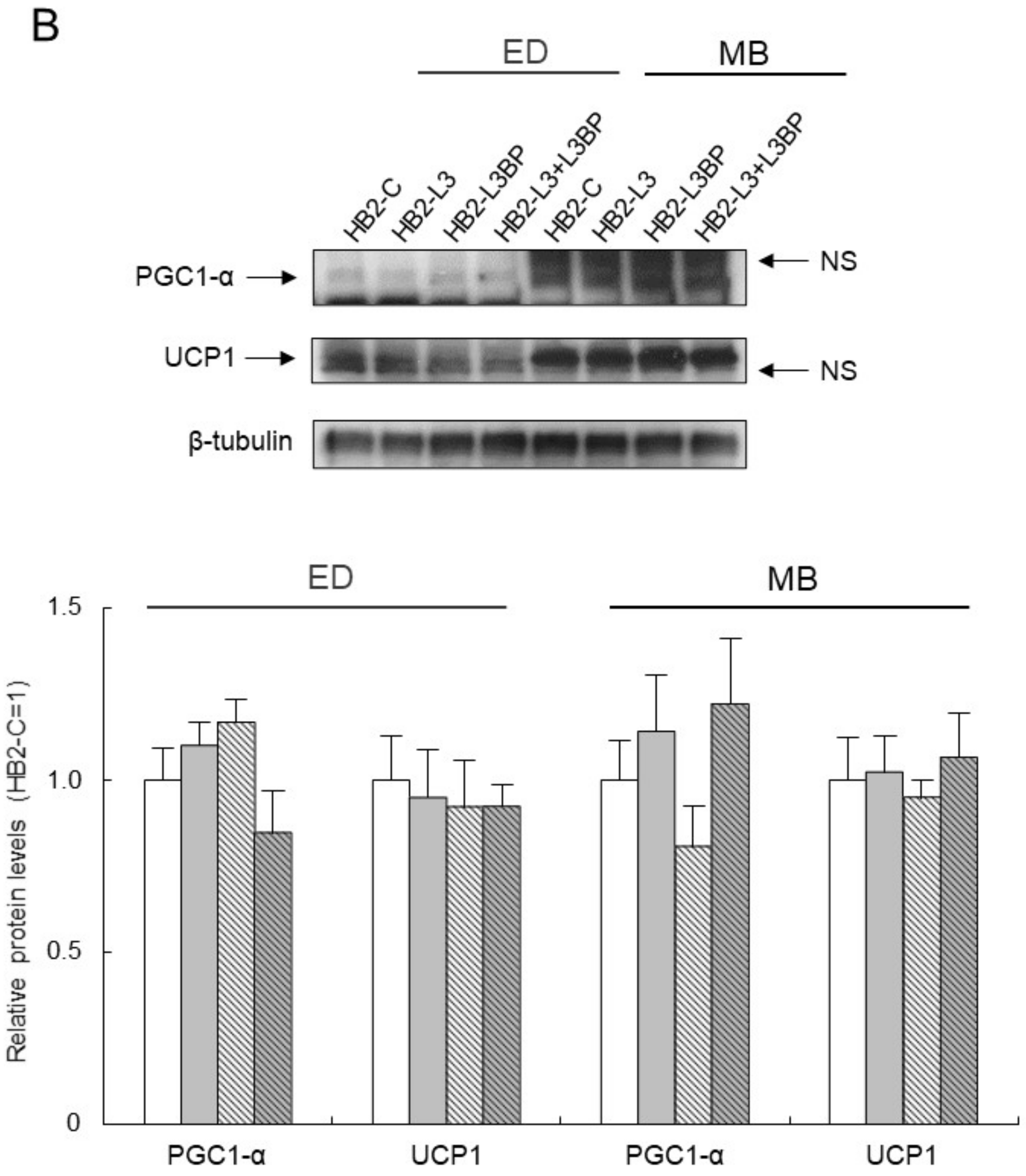 Ijms 22 10391 g004b Ijms 22 10391 g004b