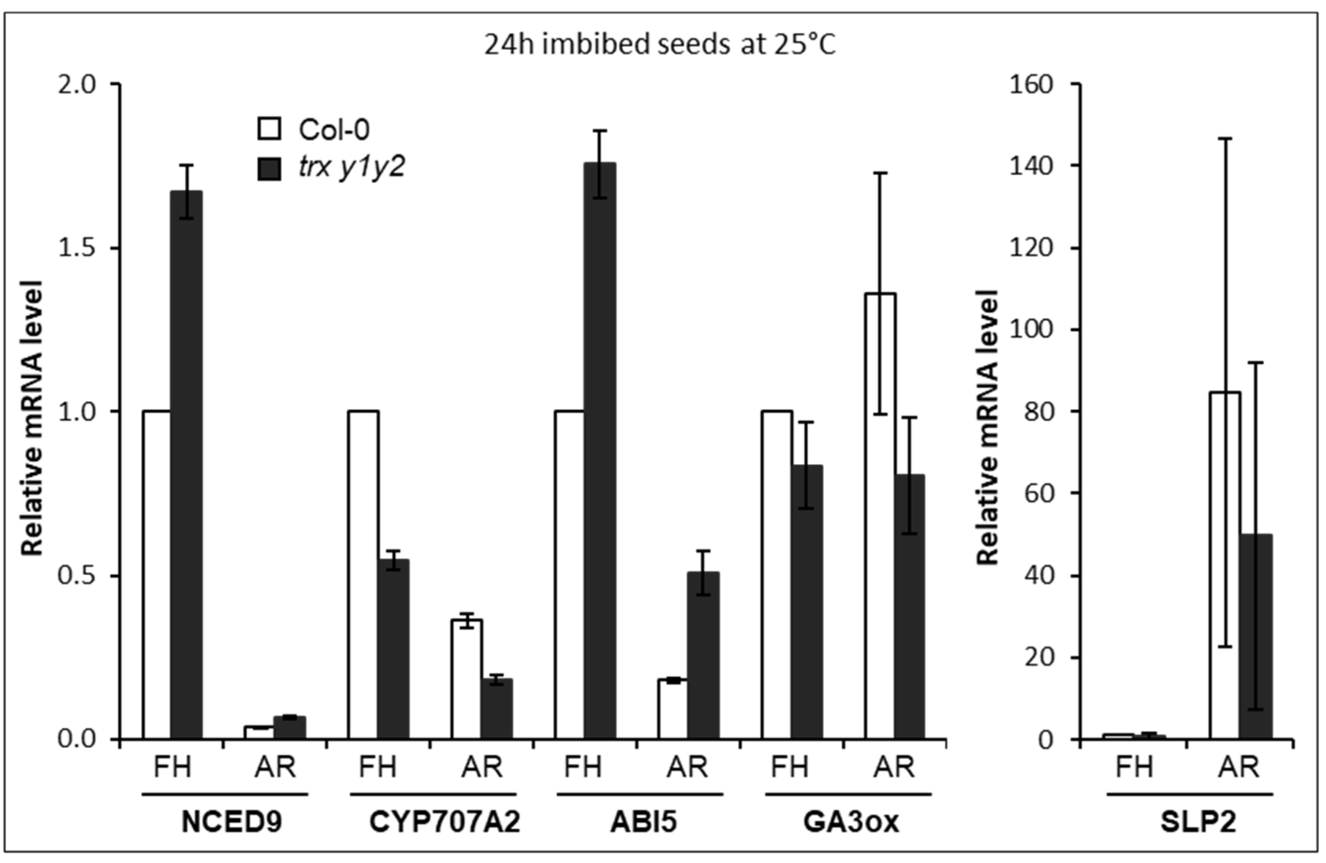 Ijms 22 10395 g004 Ijms 22 10395 g004