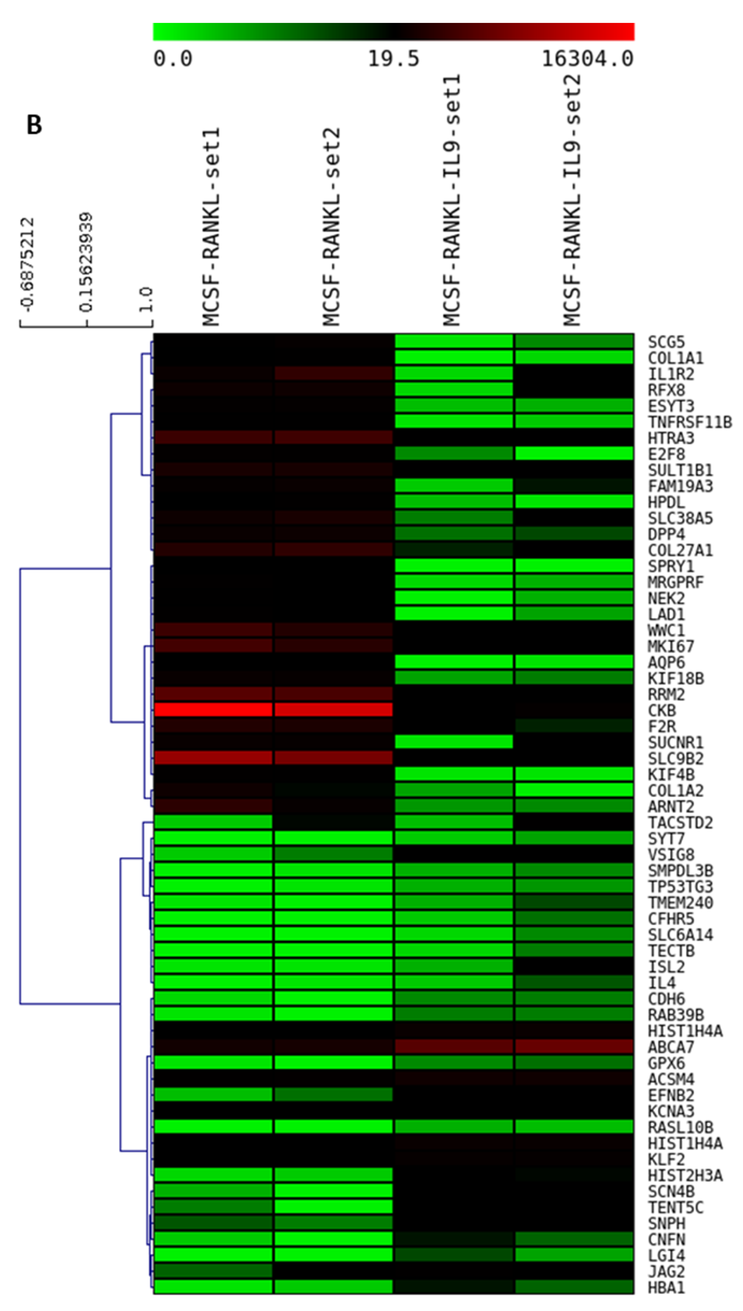Ijms 22 10397 g003b 550