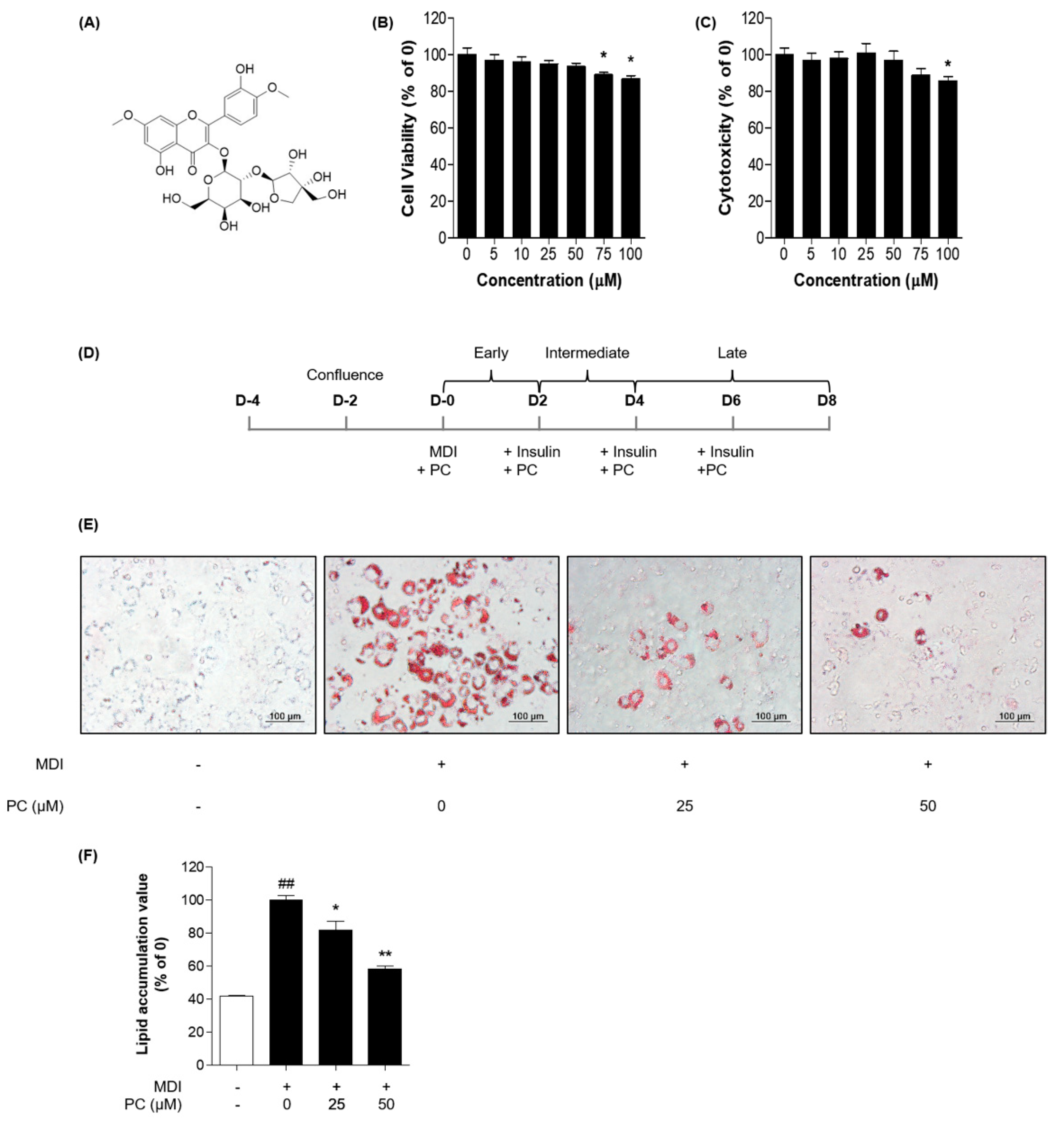 Ijms 22 10405 g001 Ijms 22 10405 g001
