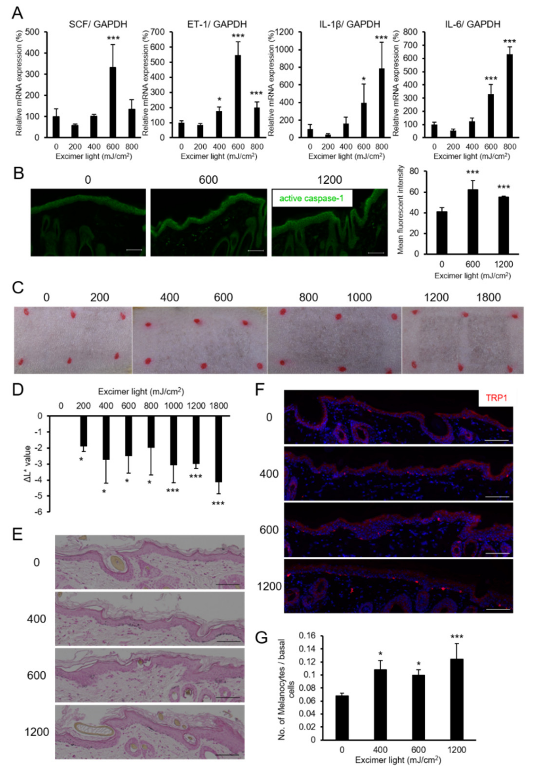 Ijms 22 10409 g004 550