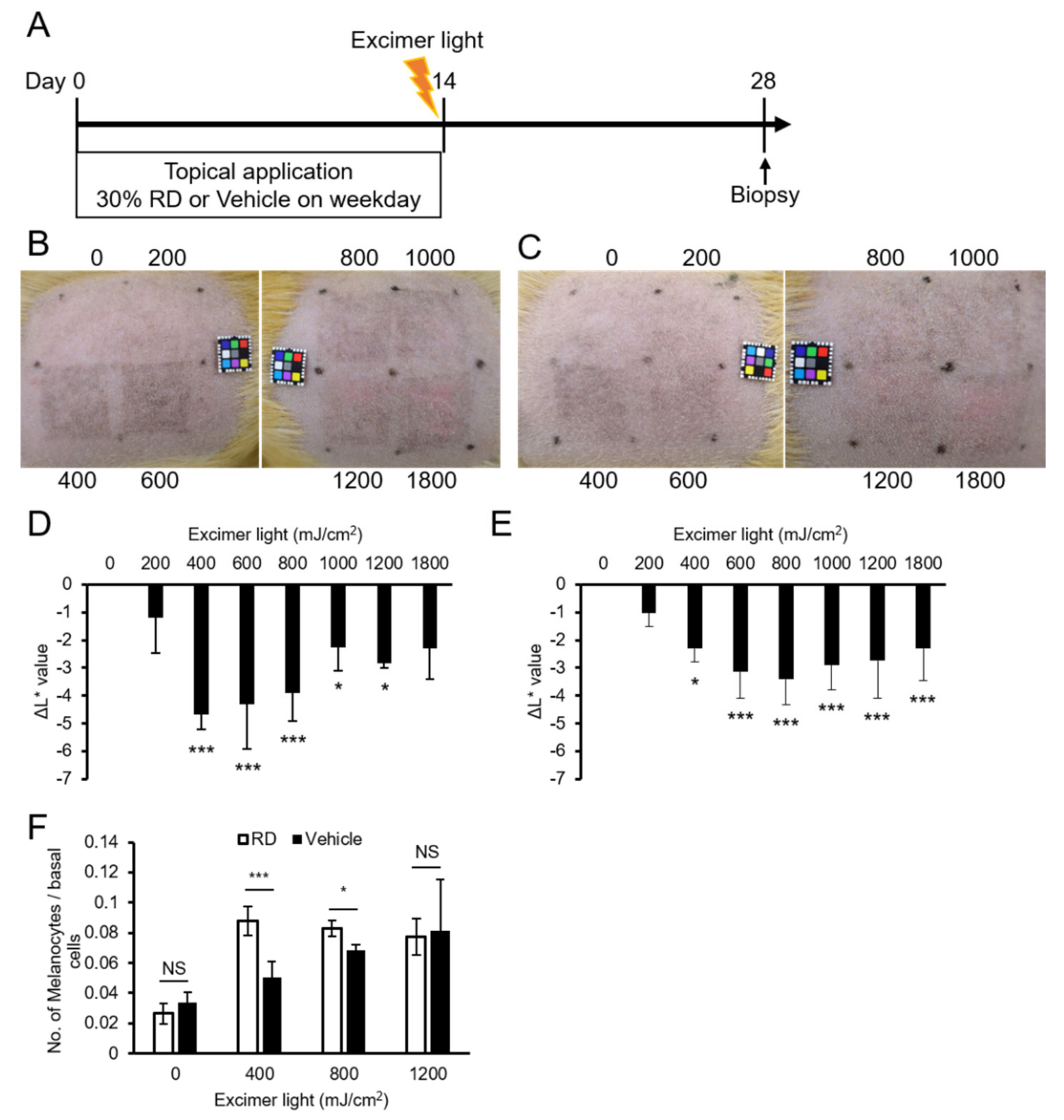 Ijms 22 10409 g005 550