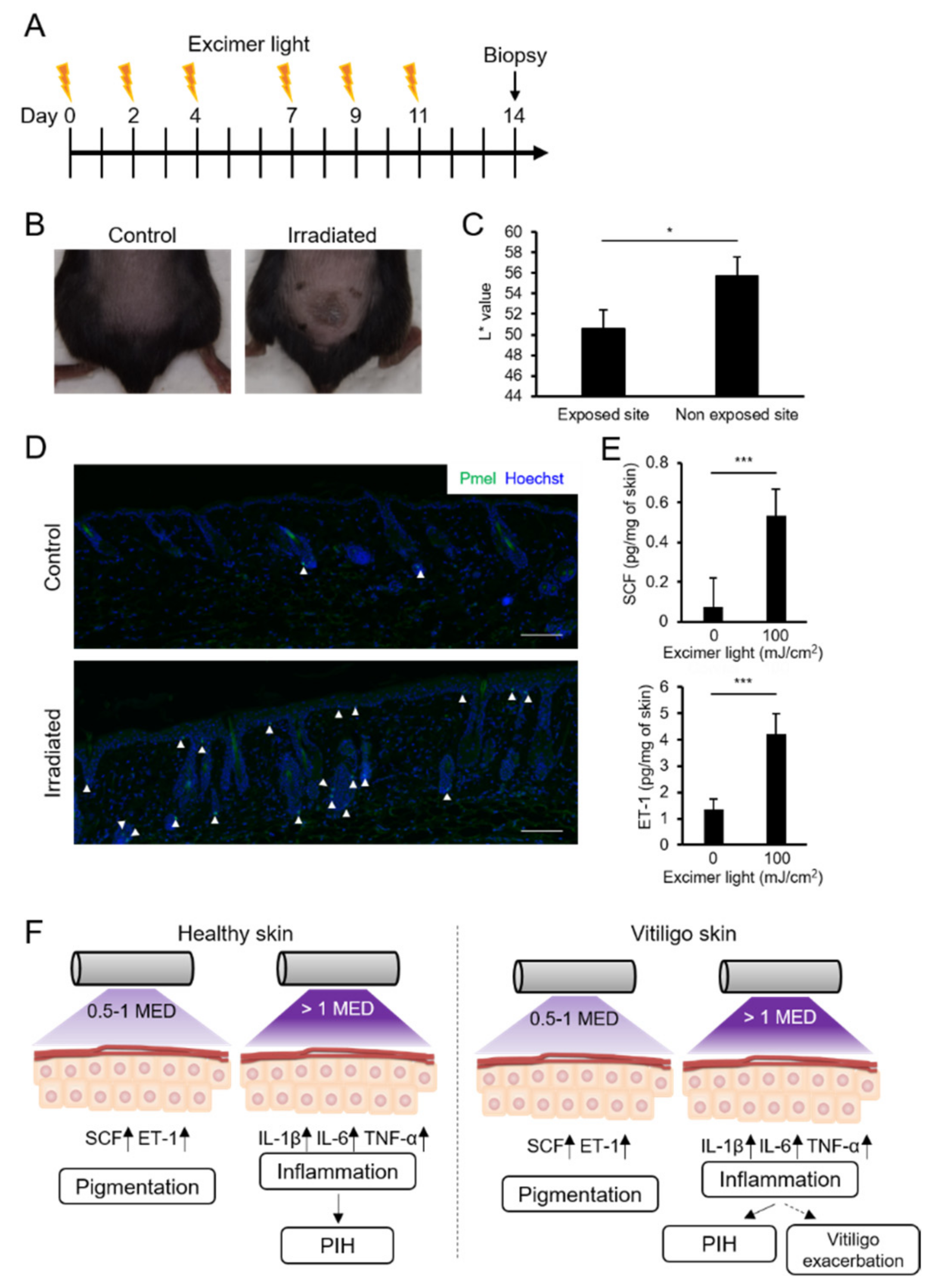 Ijms 22 10409 g006 550