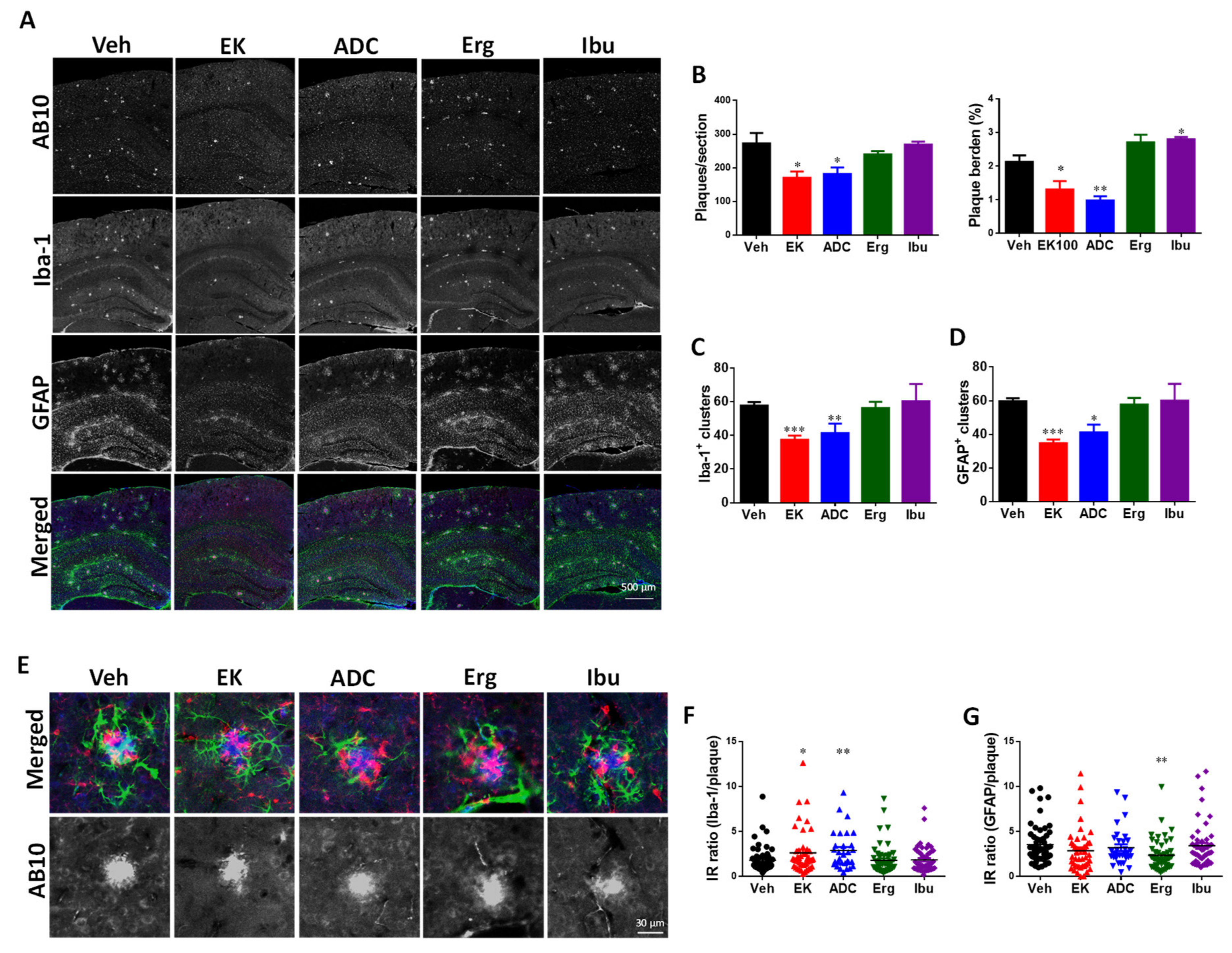 Ijms 22 10413 g003 550