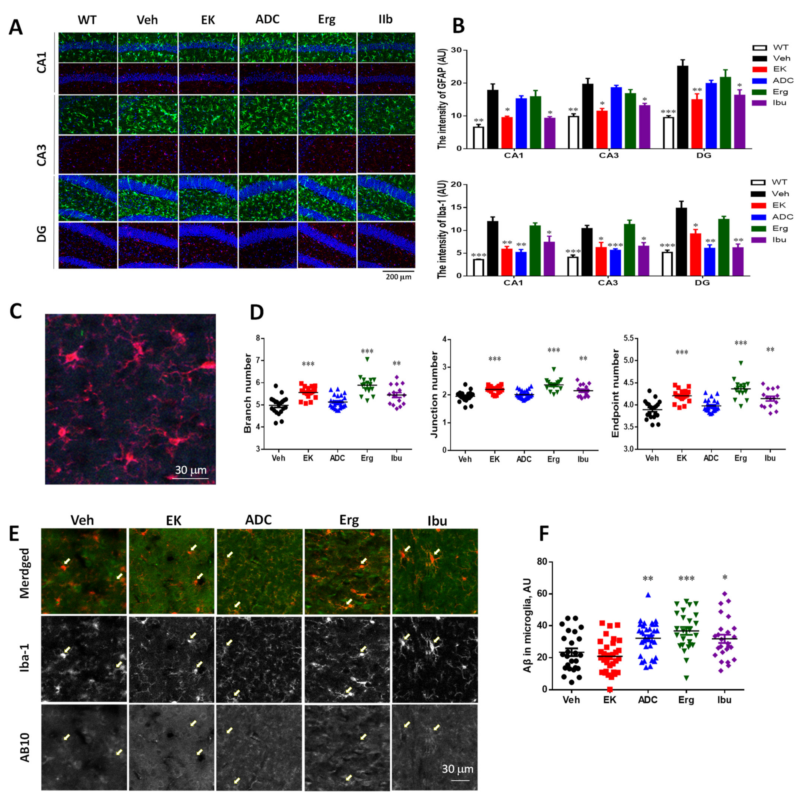 Ijms 22 10413 g005 550