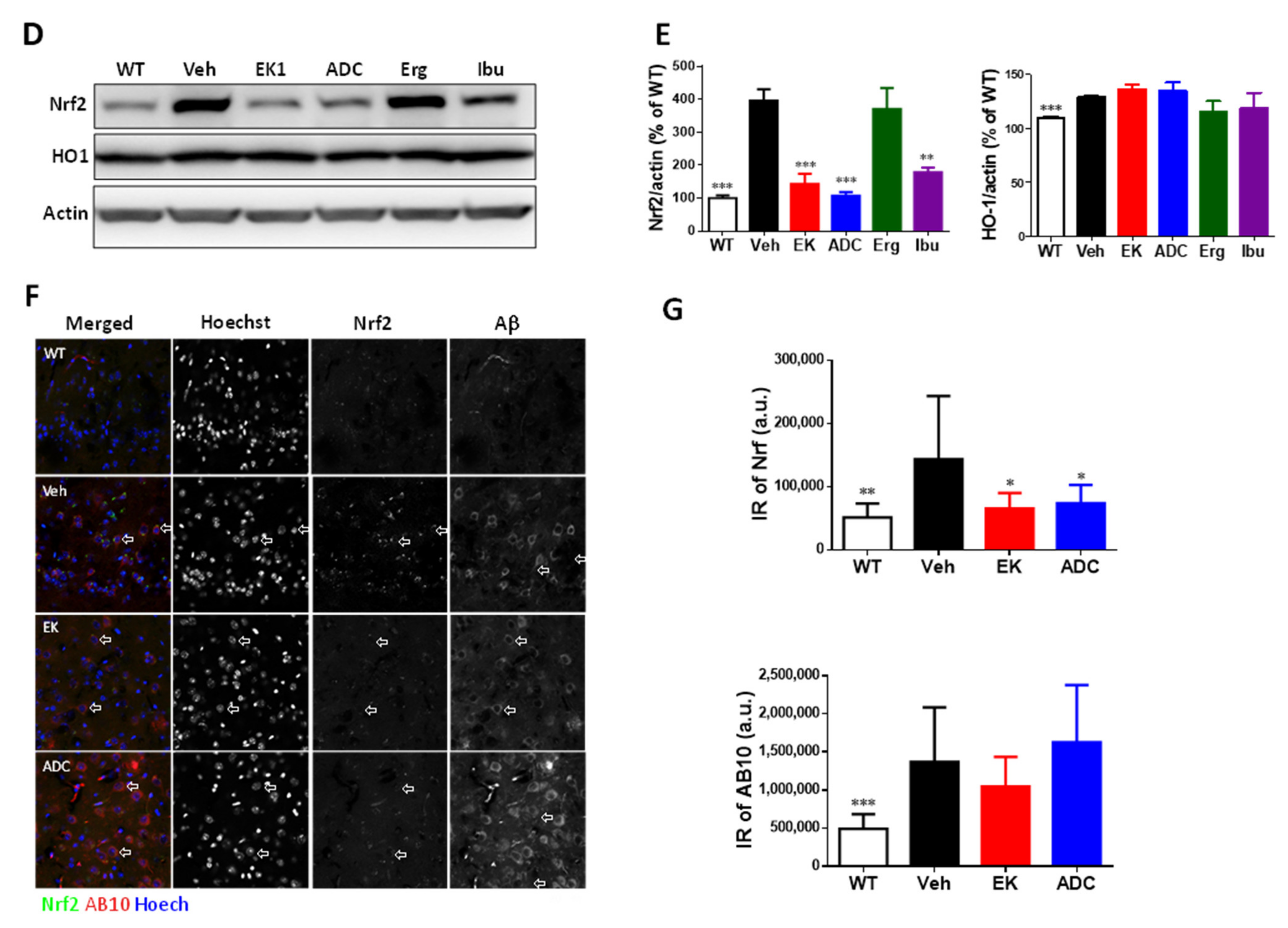 Ijms 22 10413 g006b 550
