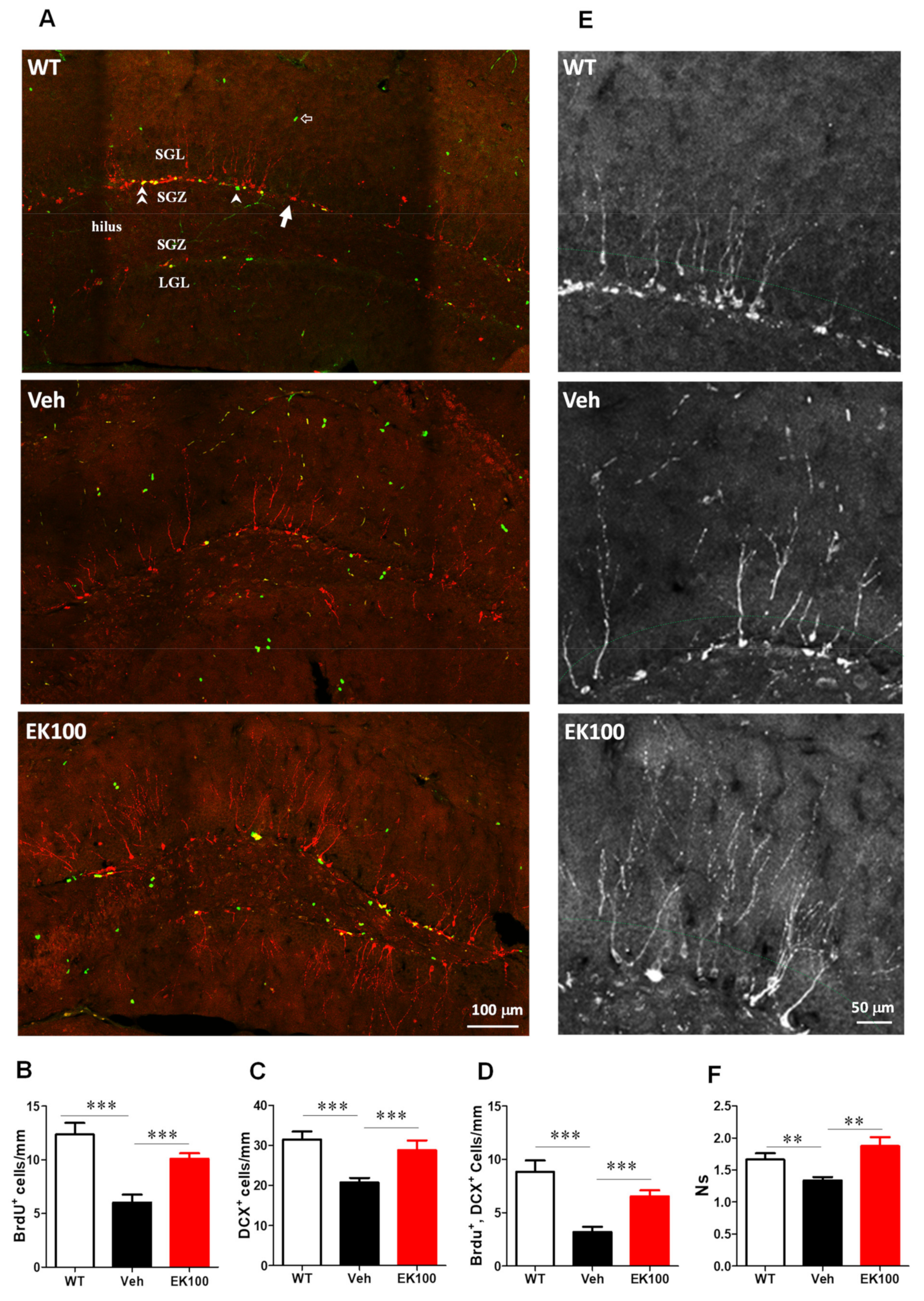Ijms 22 10413 g007 550