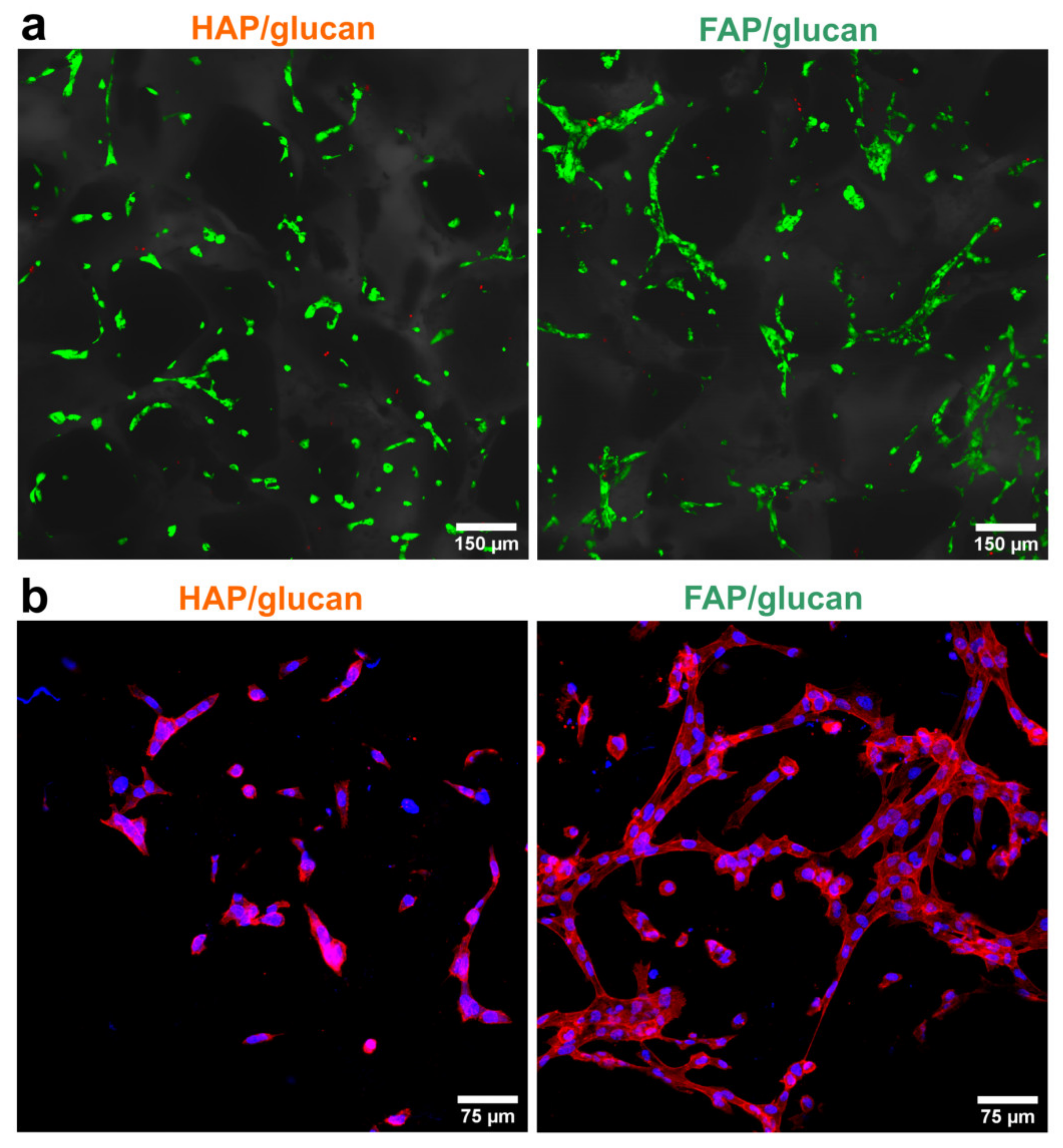Ijms 22 10414 g009 Ijms 22 10414 g009