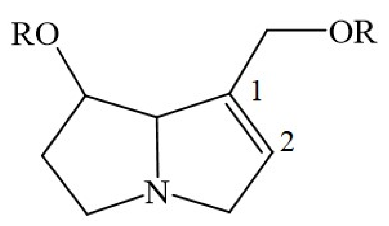 Metabolic Toxification of 1,2-Unsaturated Pyrrolizidine