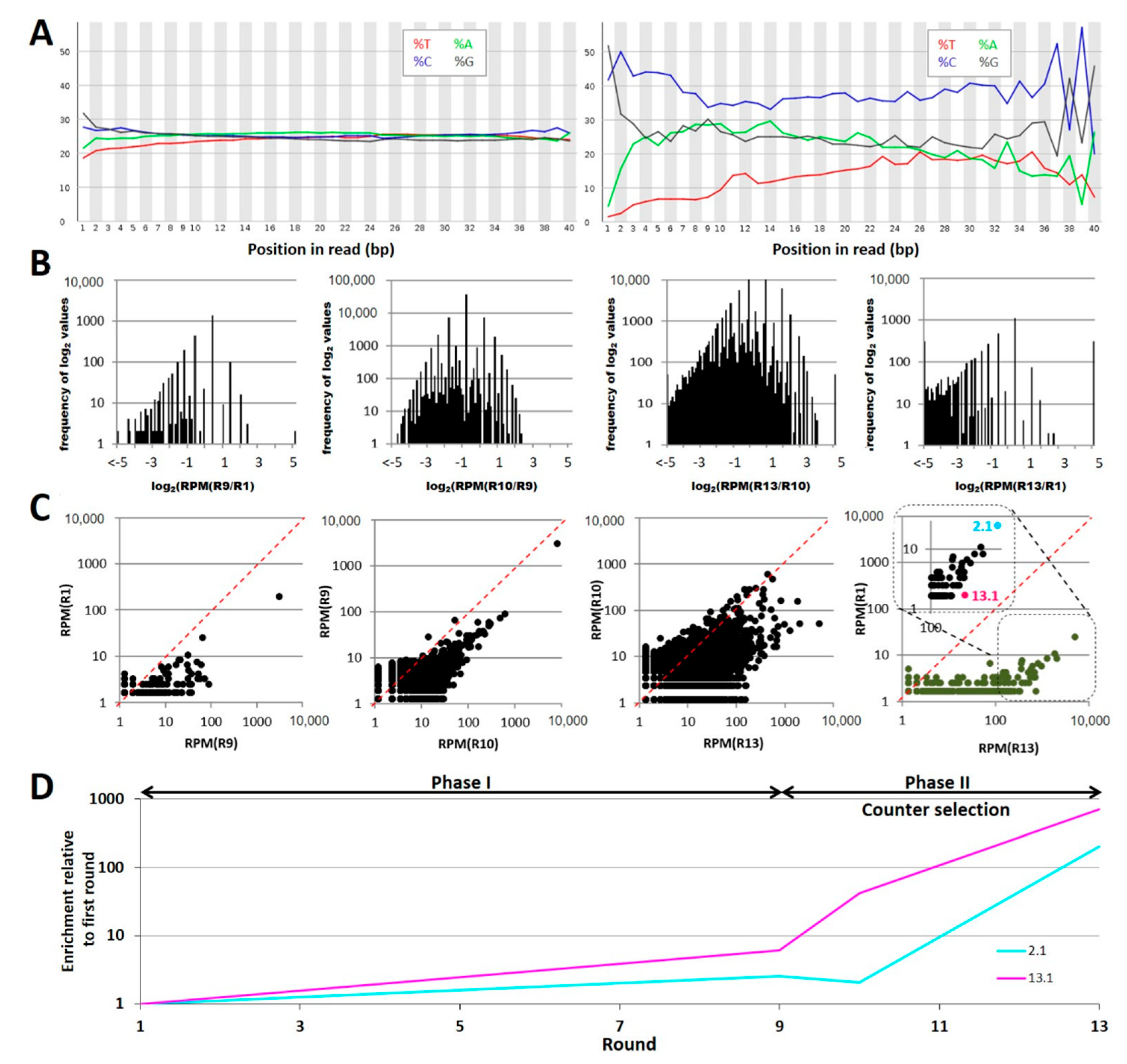 Ijms 22 10425 g003 Ijms 22 10425 g003
