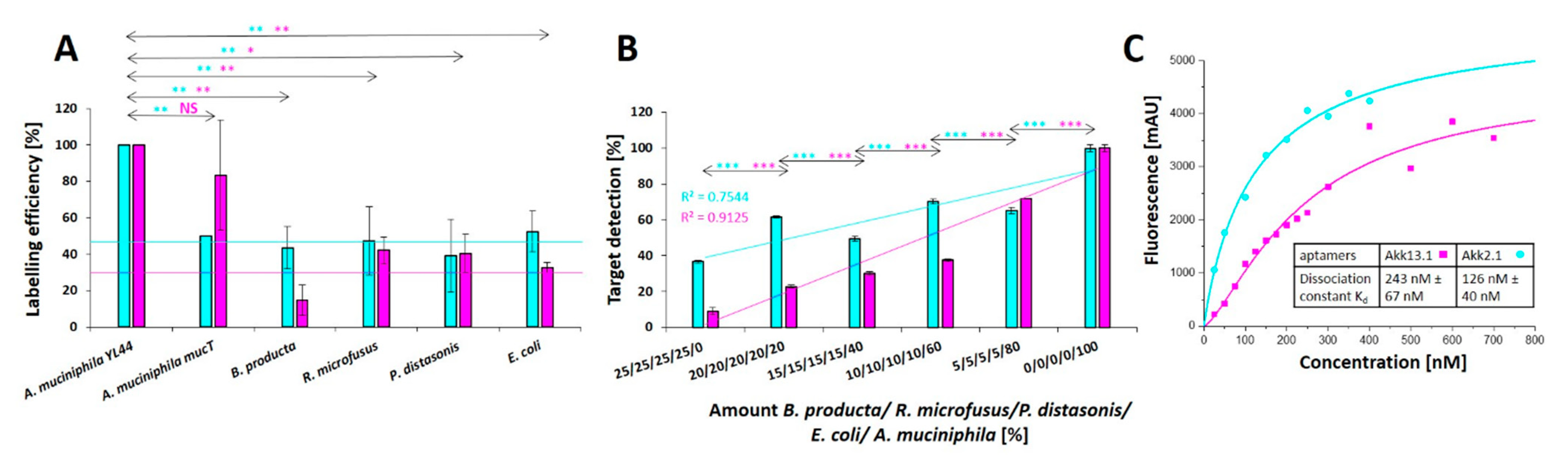 Ijms 22 10425 g004 Ijms 22 10425 g004