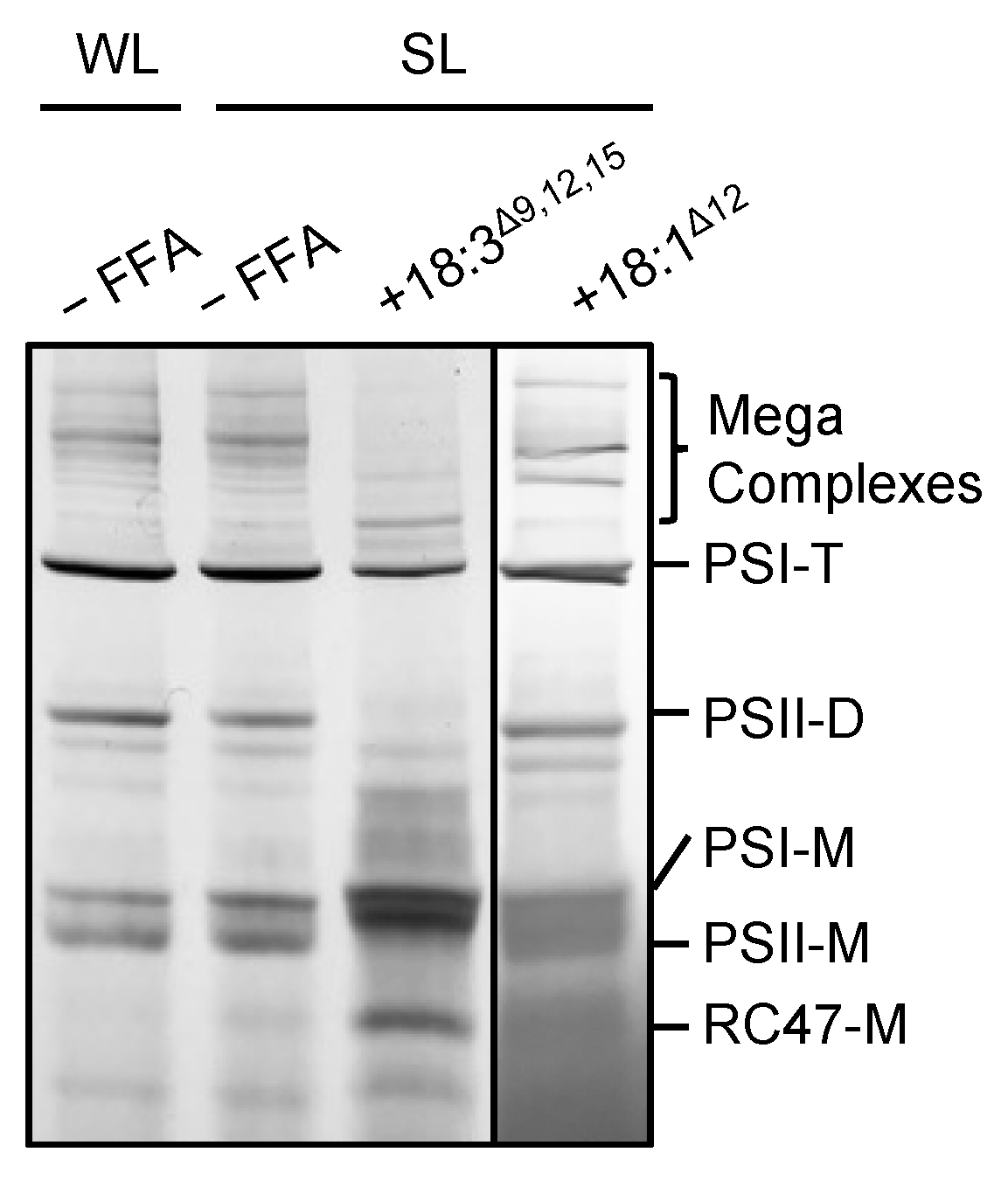 Ijms 22 10432 g003 550