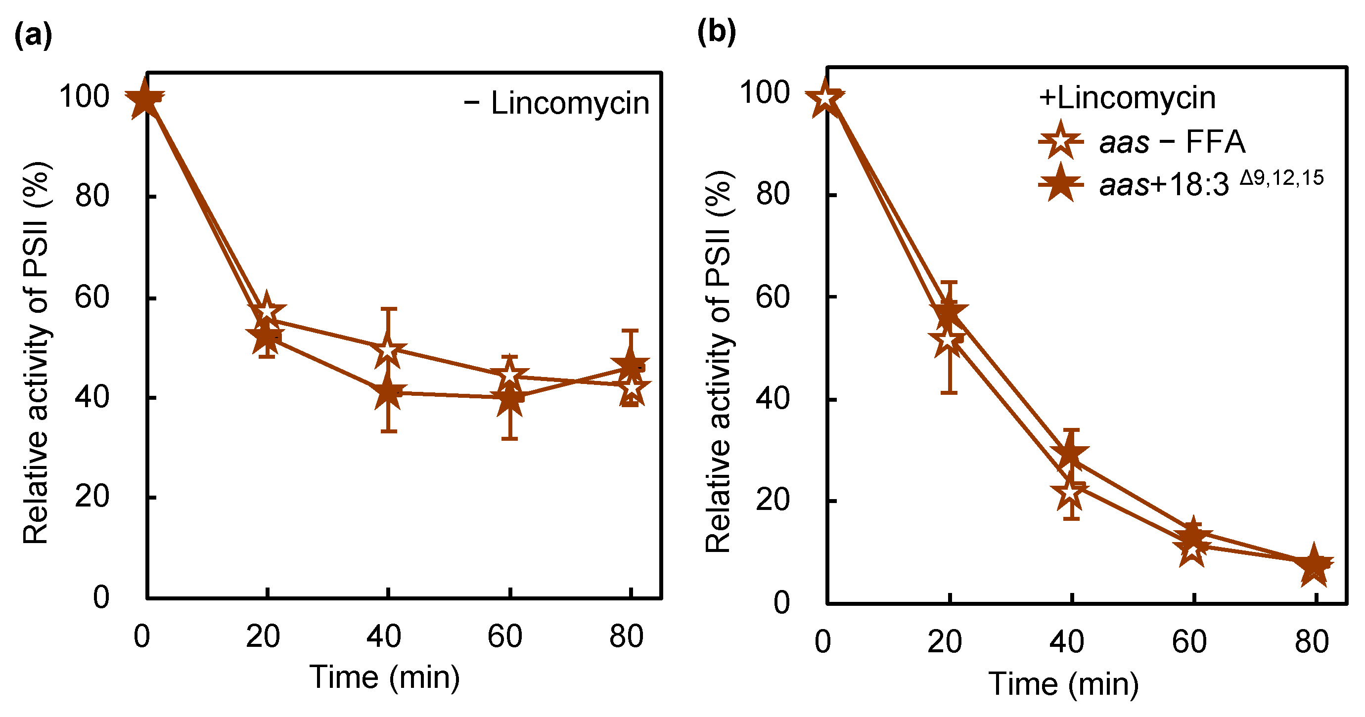 Ijms 22 10432 g007 550