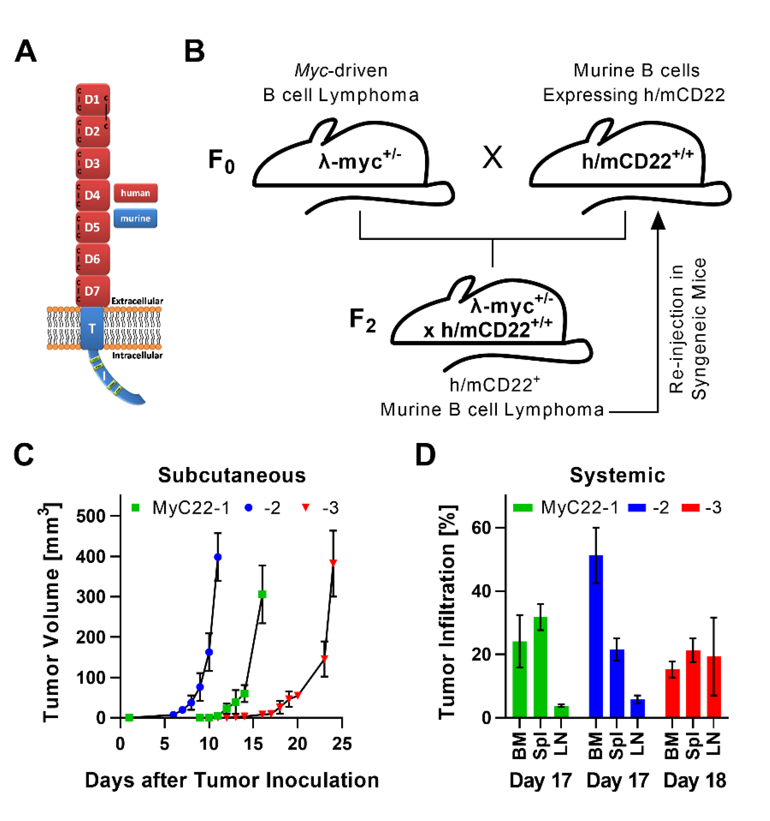 Ijms 22 10433 g001 550