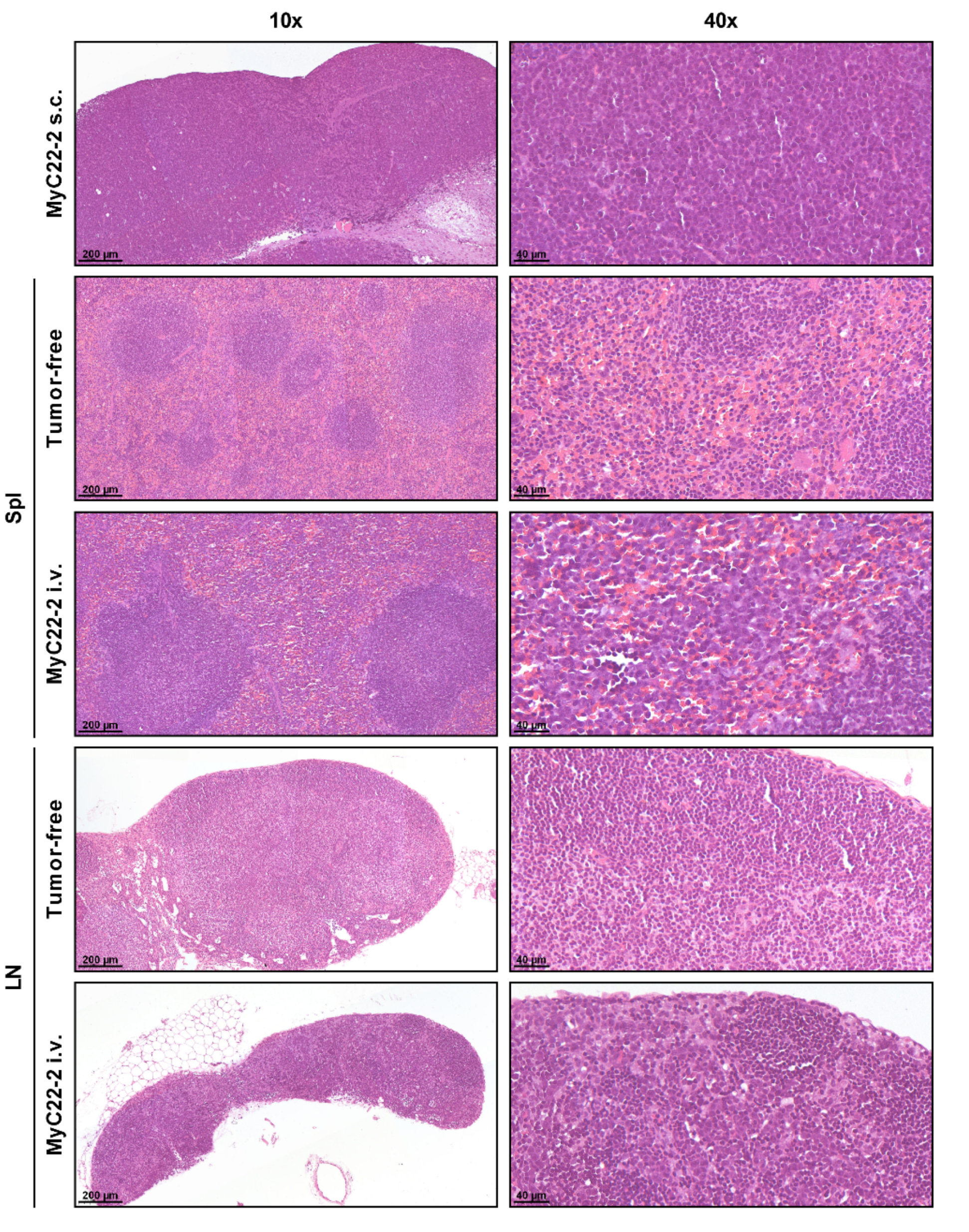 Ijms 22 10433 g002 550