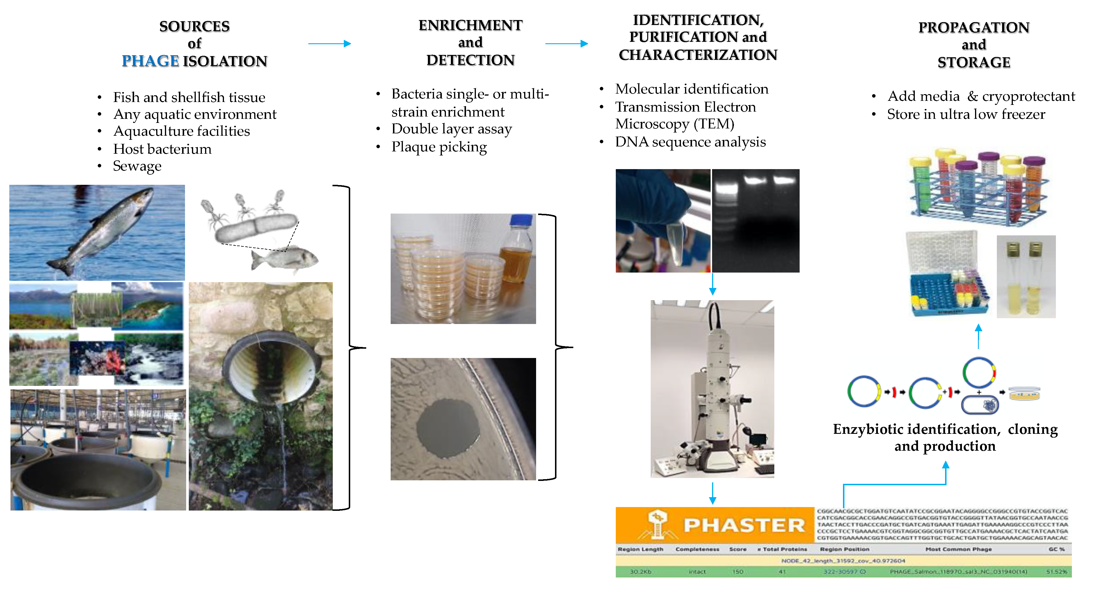 Ijms 22 10436 g002 Ijms 22 10436 g002