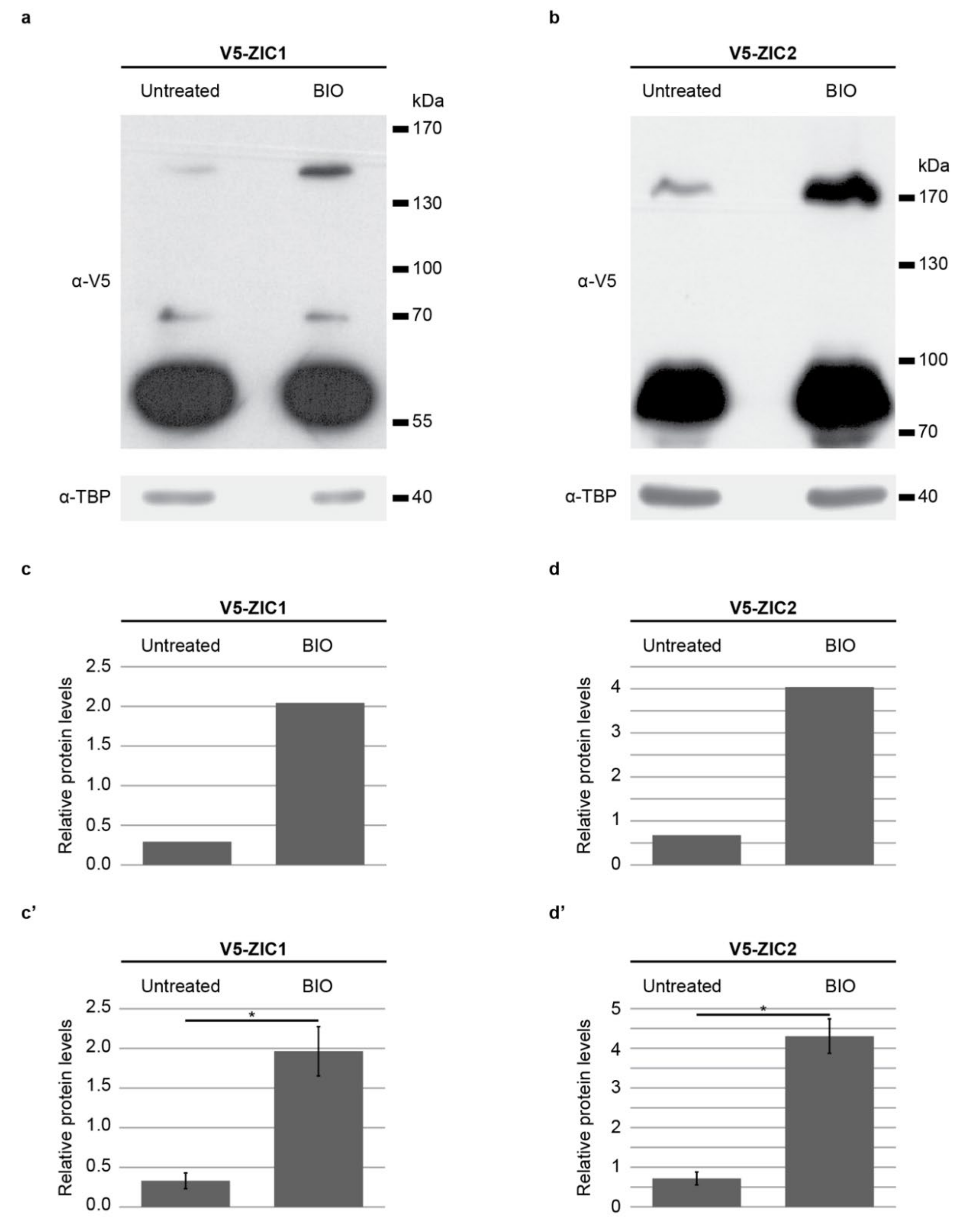 Ijms 22 10437 g006 Ijms 22 10437 g006