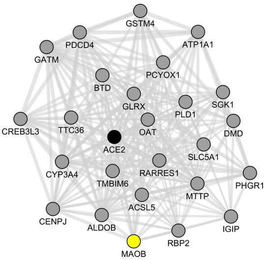 Molecular Insights into SARS-CoV2-Induced Alterations of the