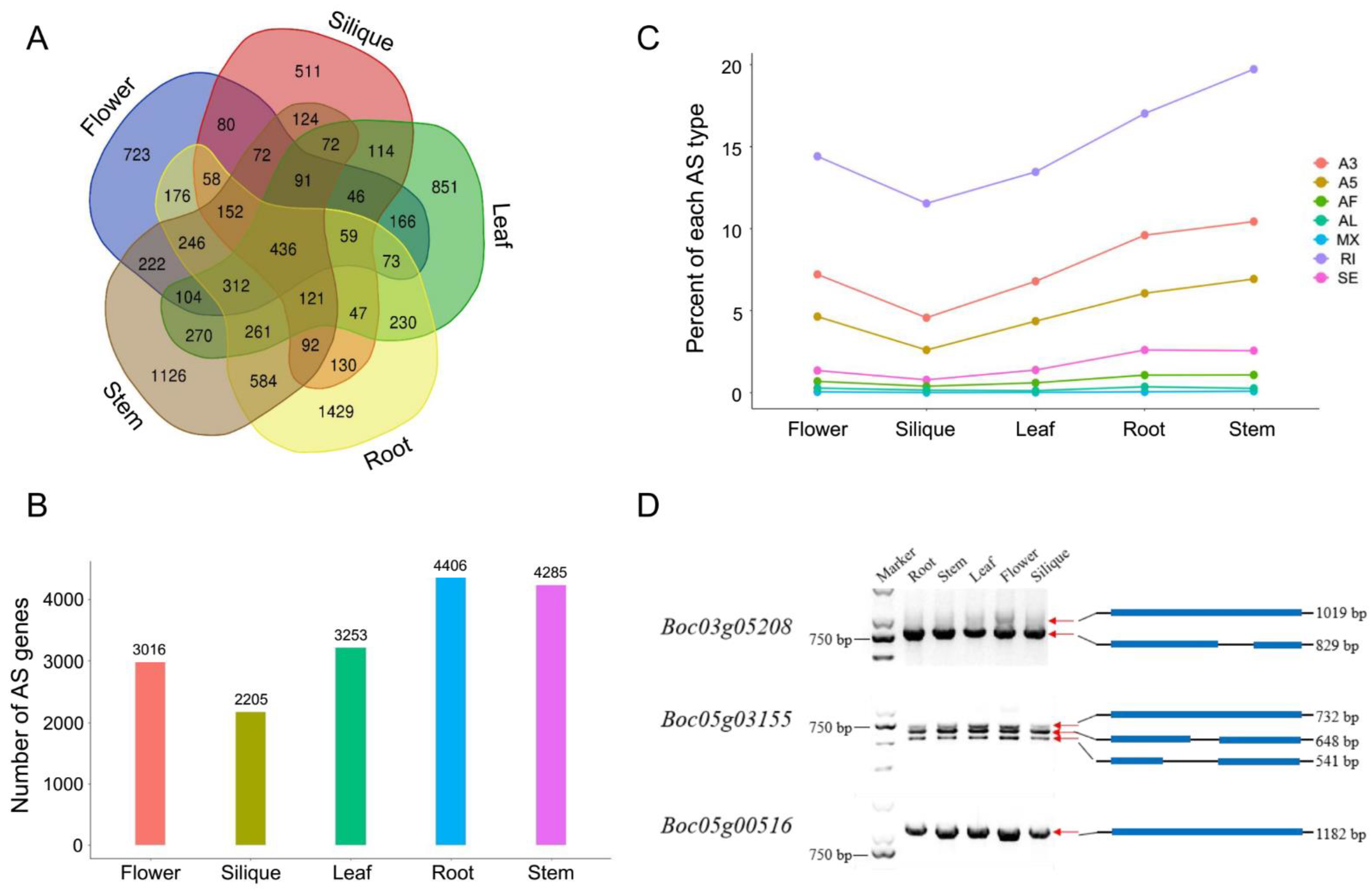 Ijms 22 10443 g002 550